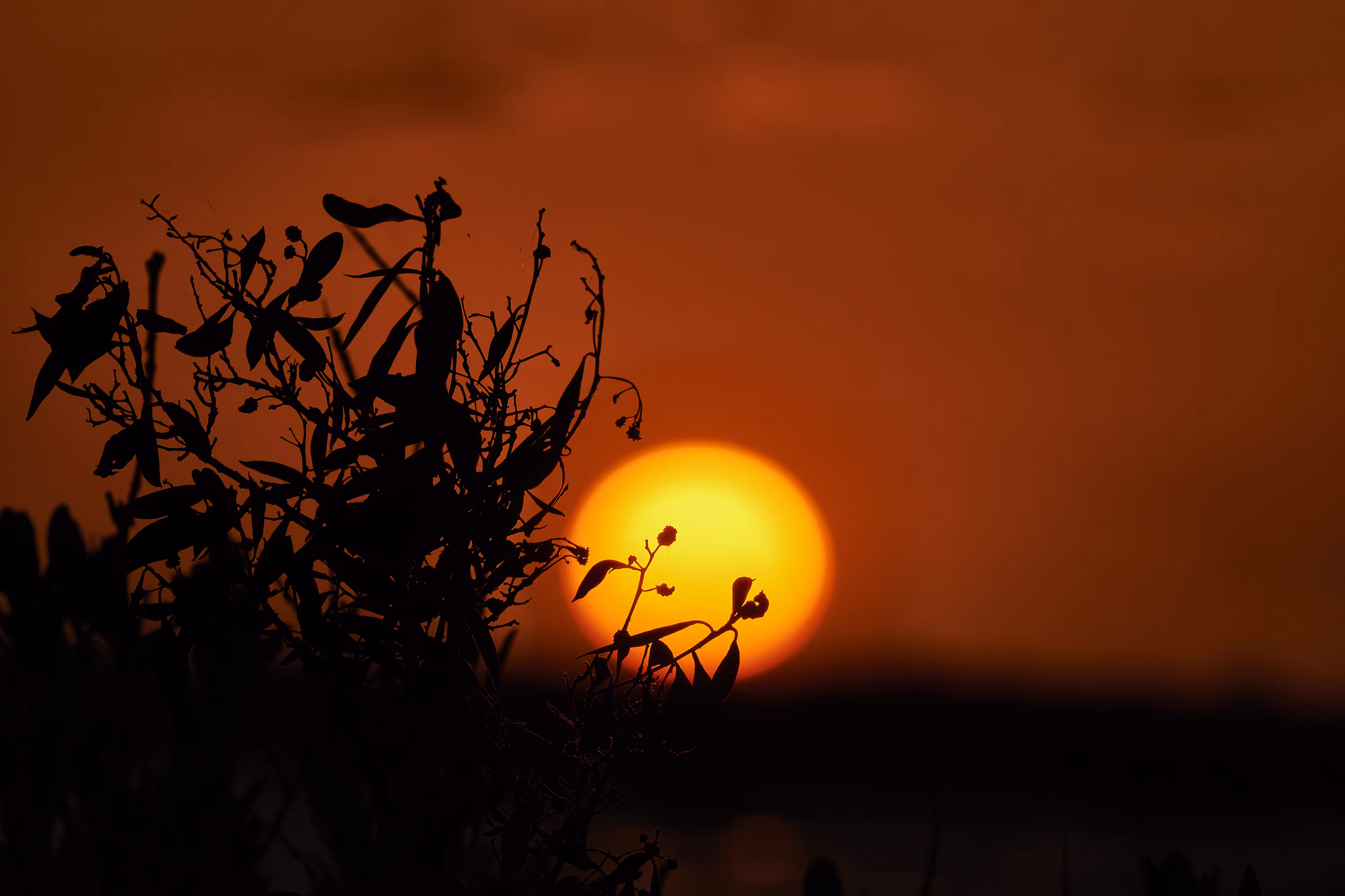 Sunset 1