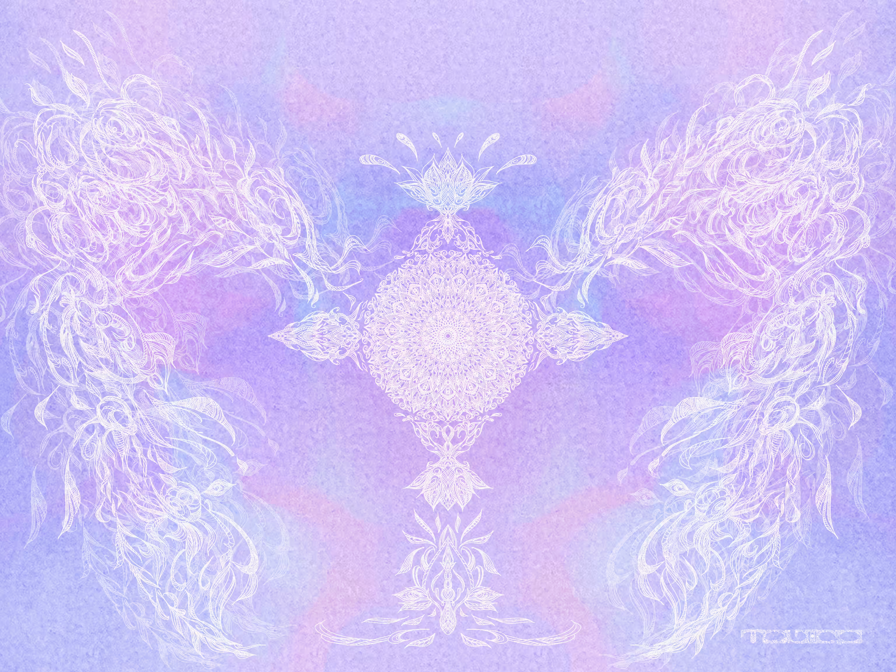 Embryo