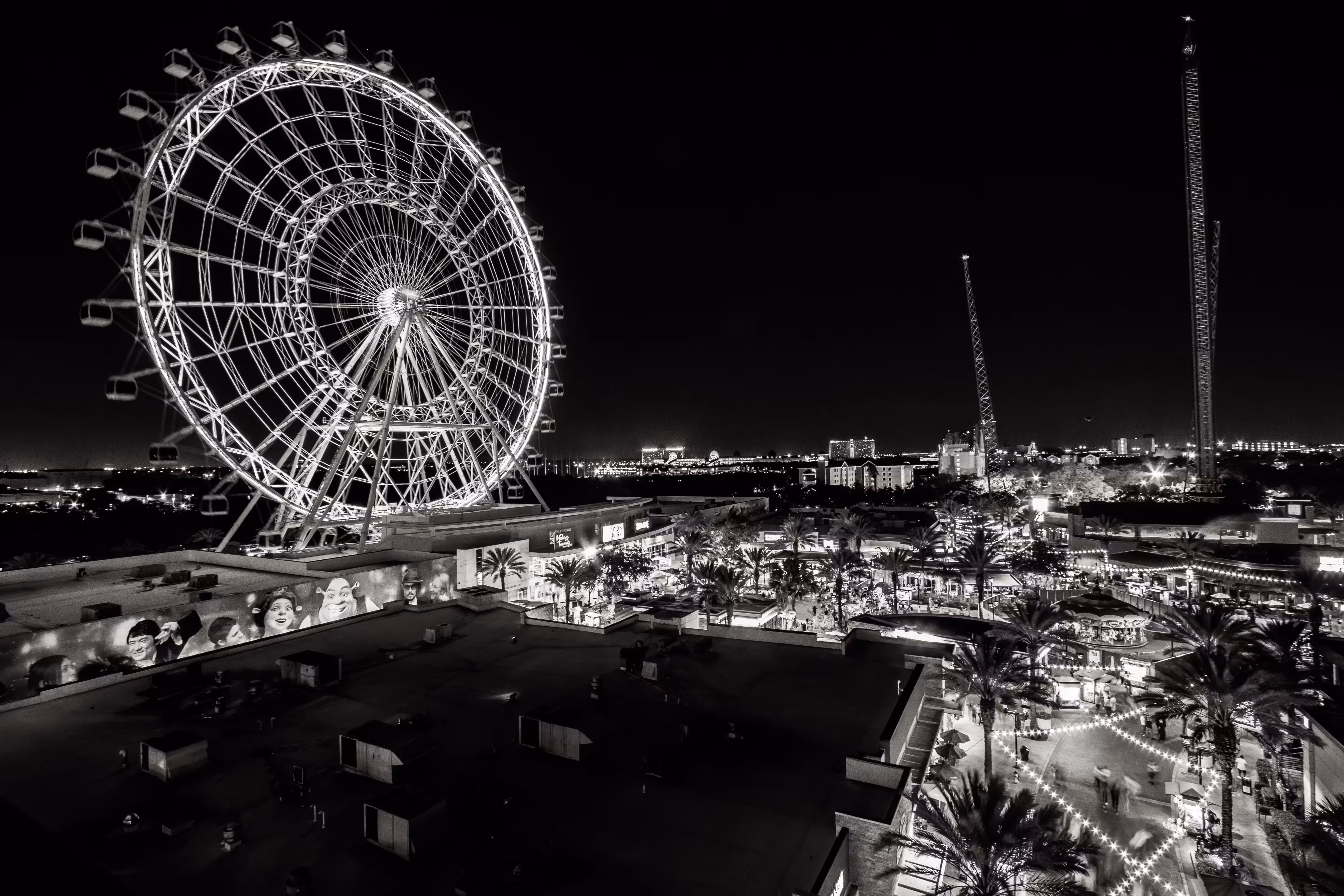 The Night's Eye