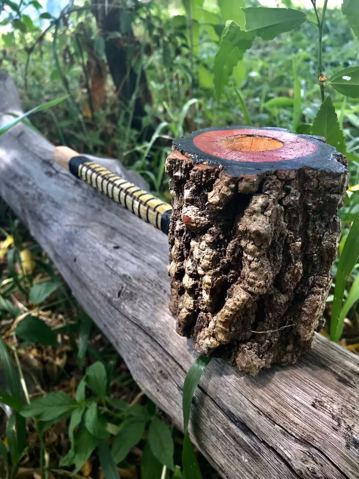 Rezo / Natureza