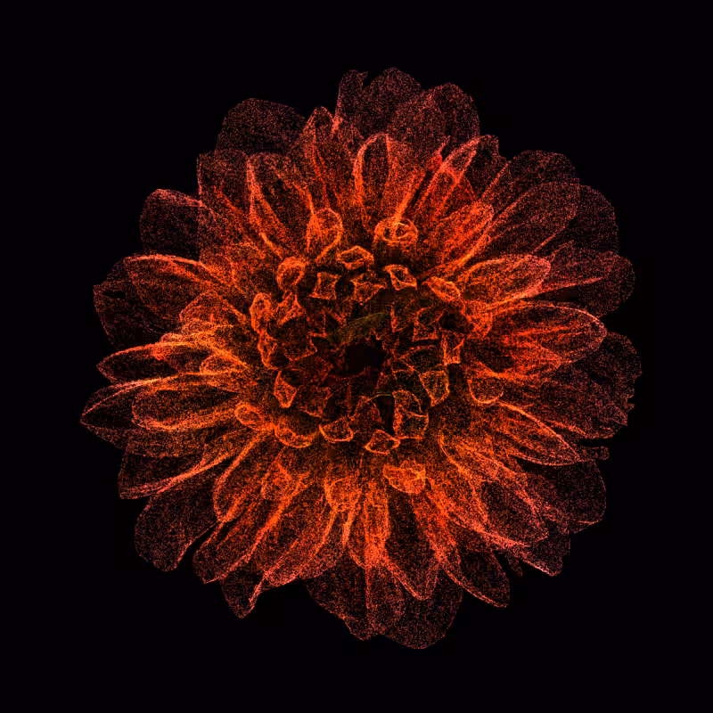 Dahlia Pinnata 30 #288