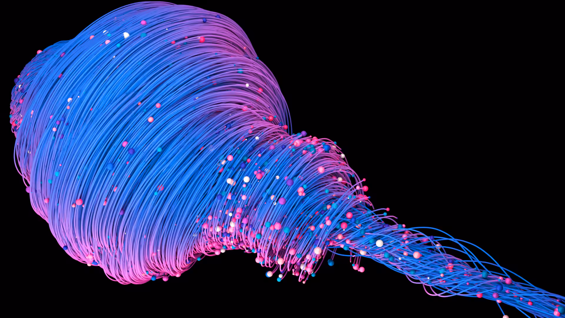 Medusae - Pelagia Noctiluca