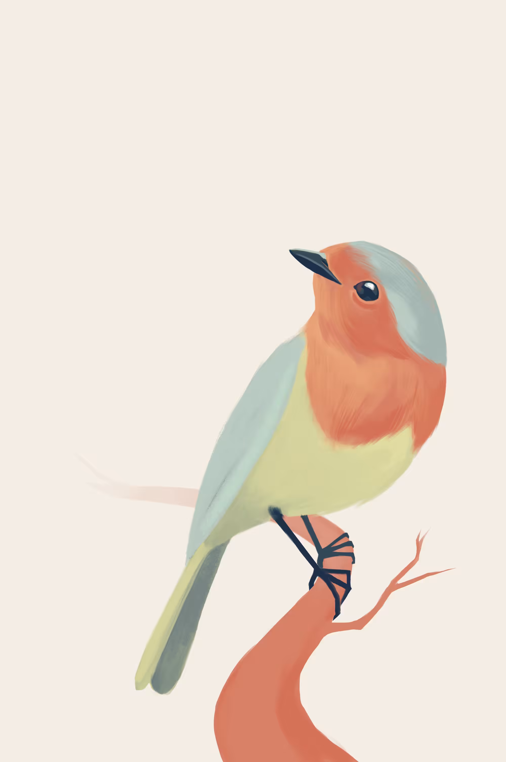 Robin