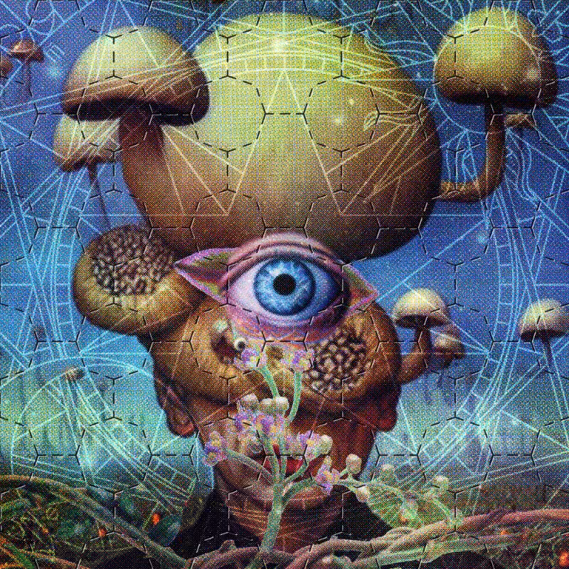 BLOTTER #87