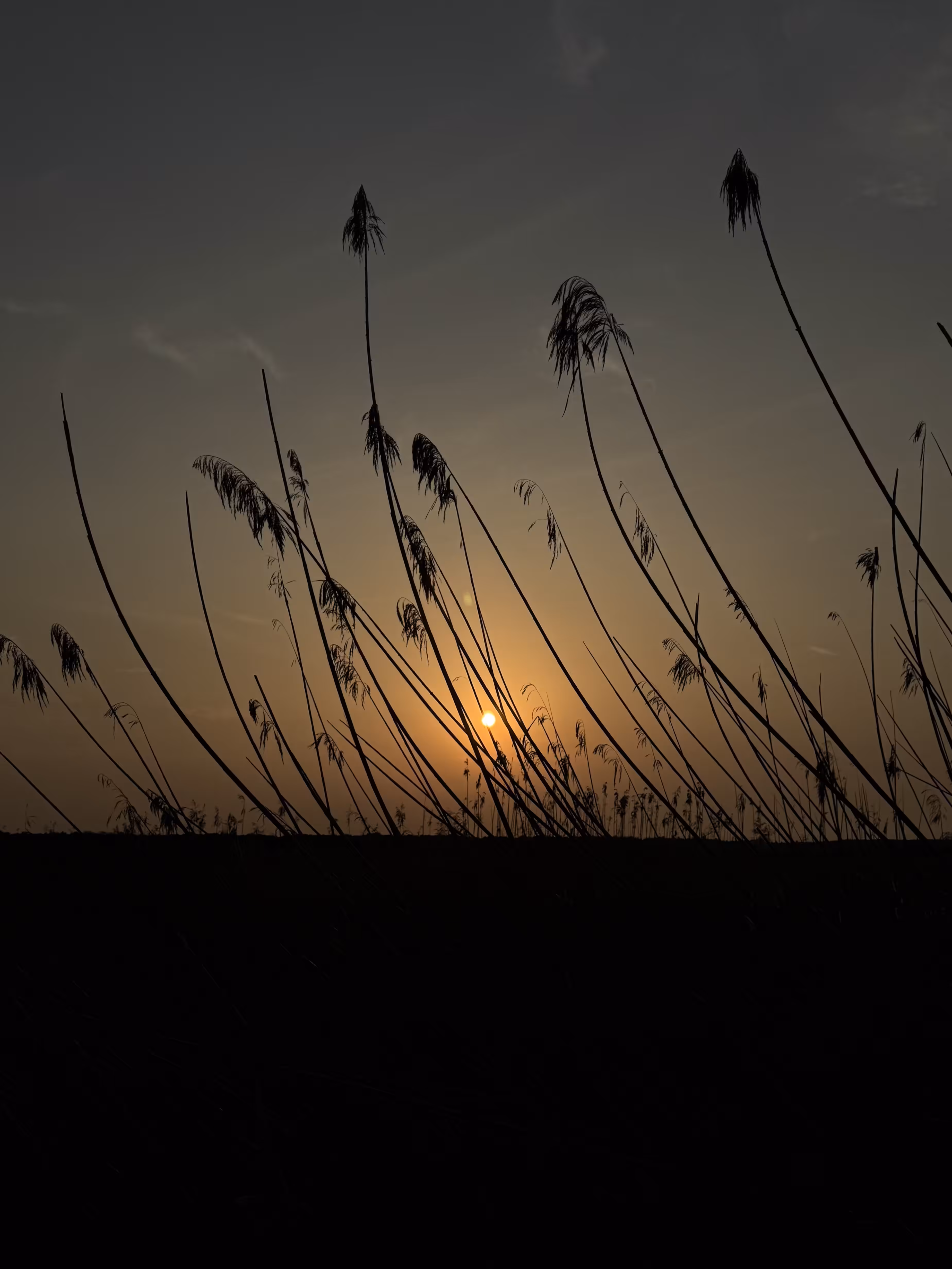 The Day’s Last Breath
