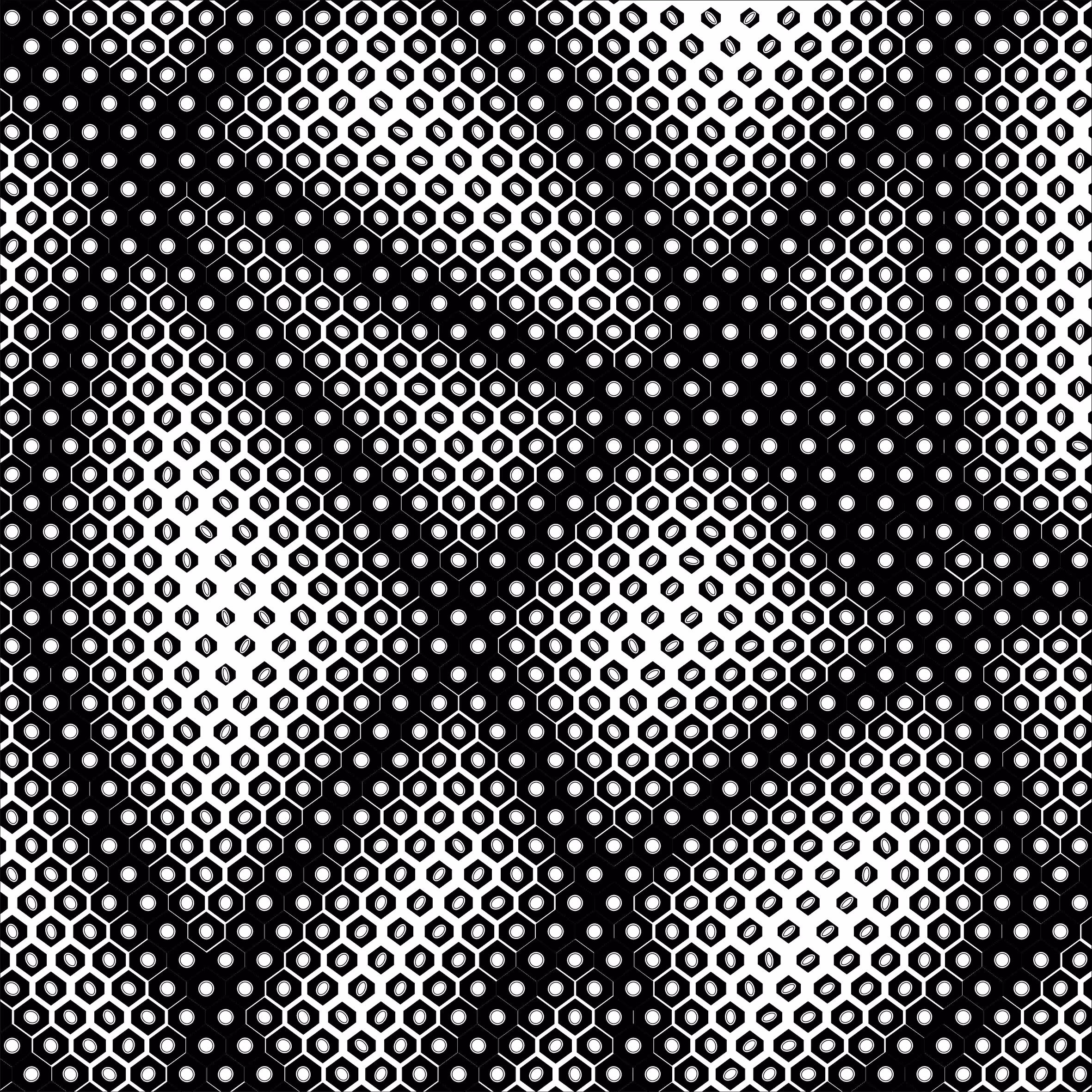 001 - Morphogensis - 2D Attractor 