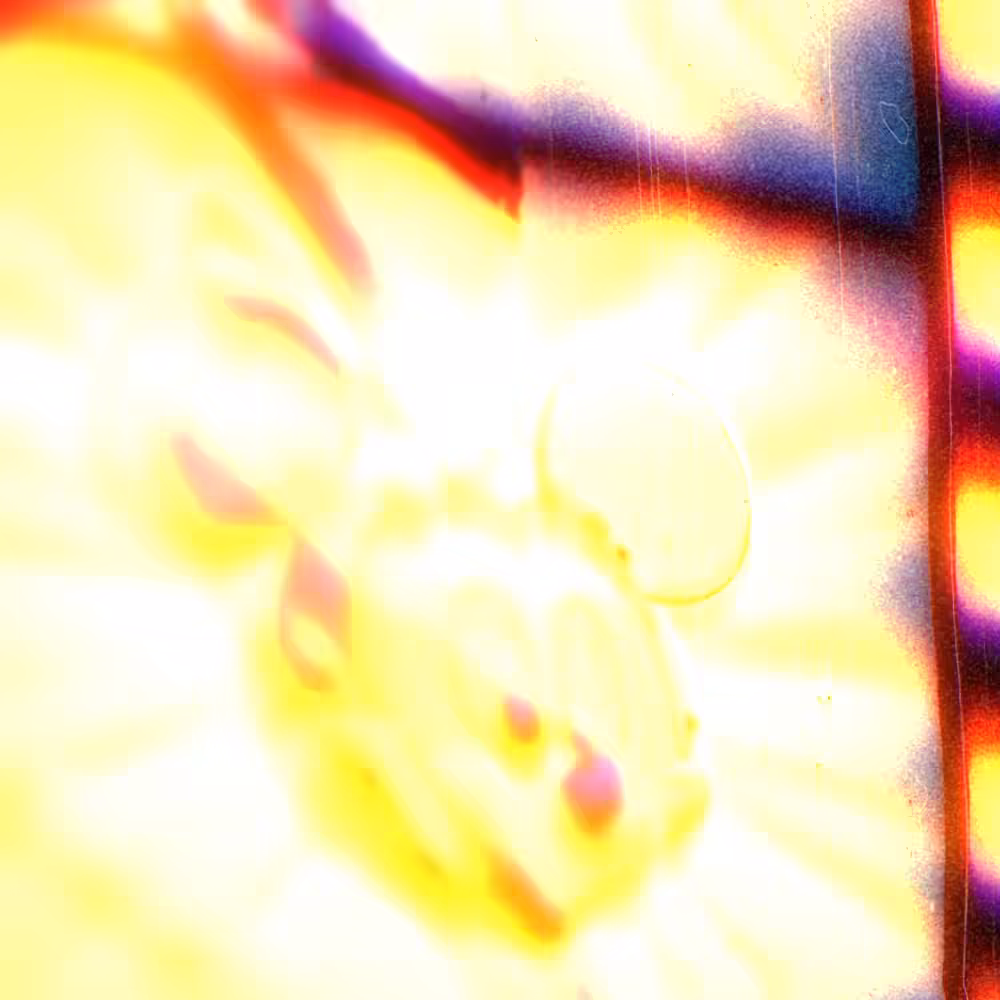 HEADSHOT