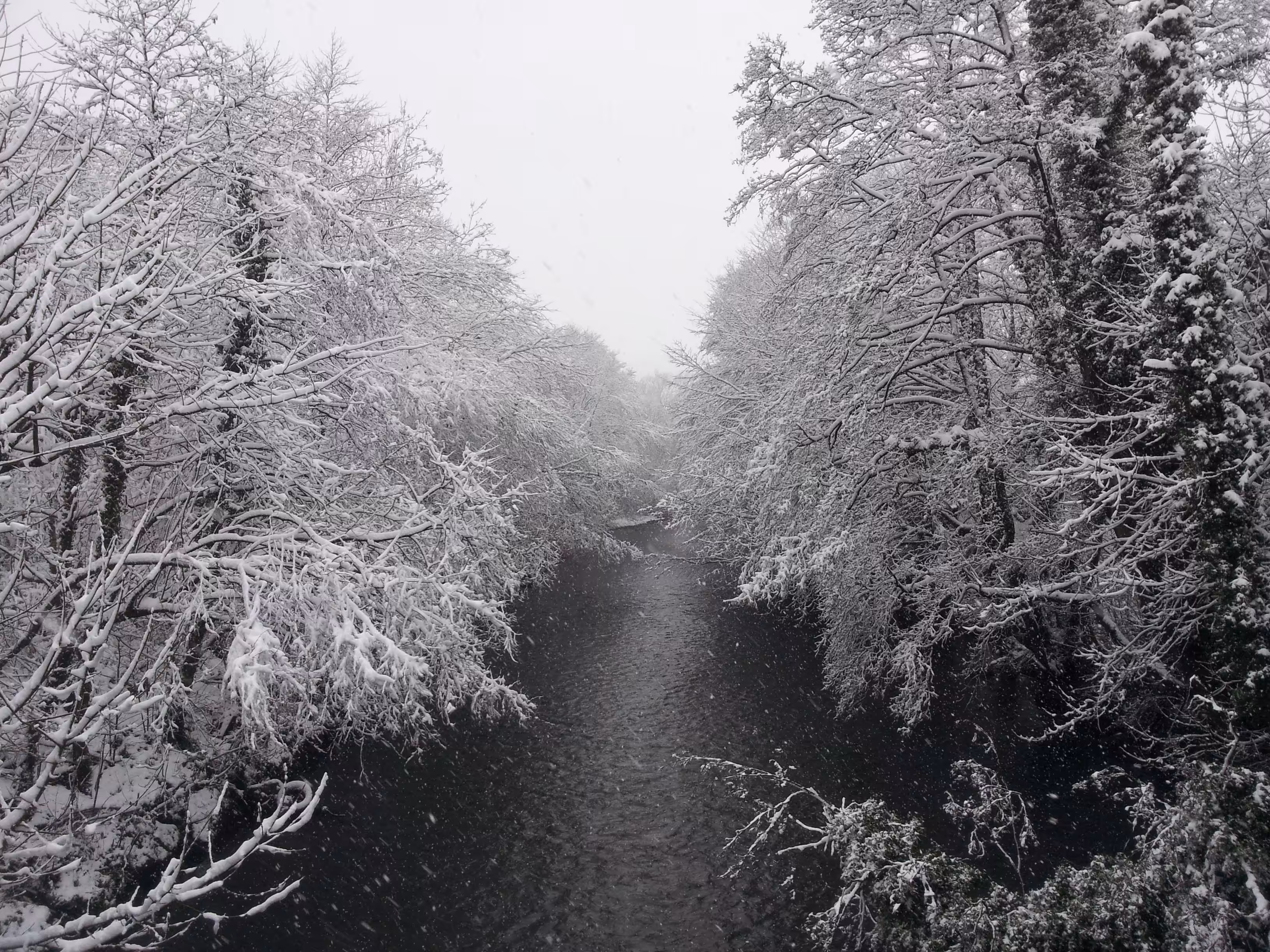 Snow Way
