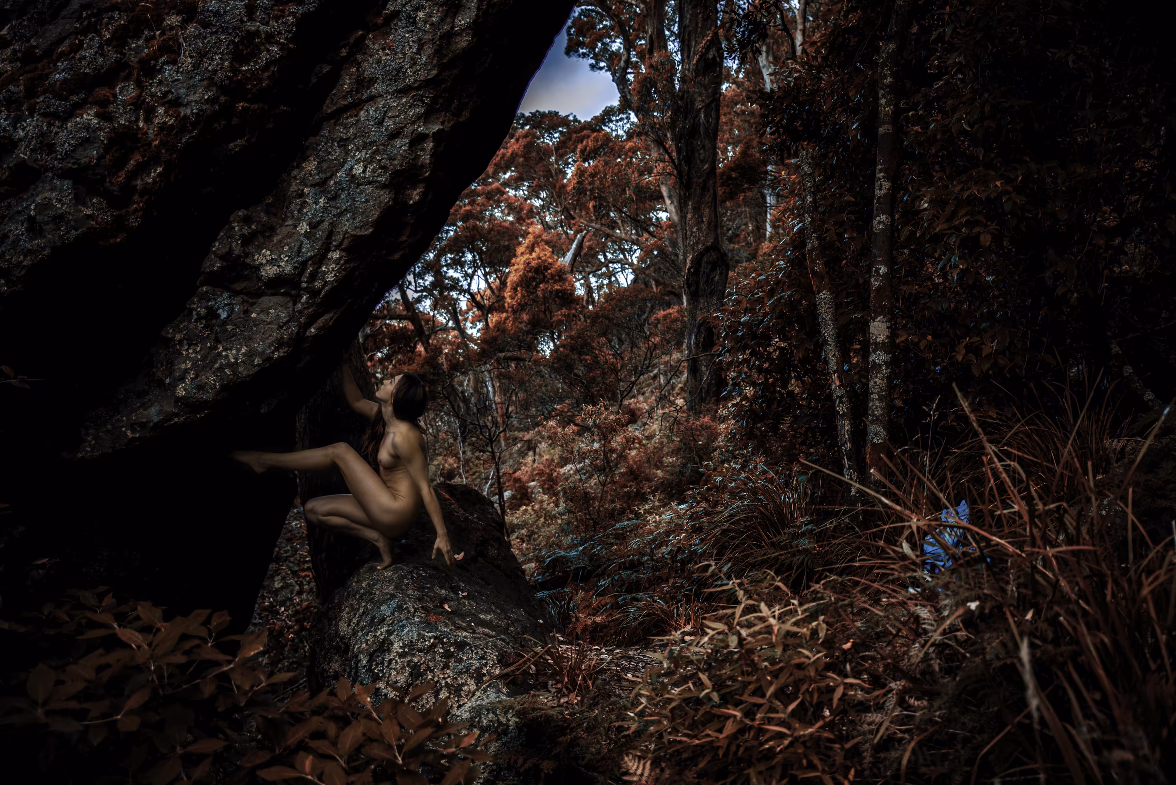 Forest Vision