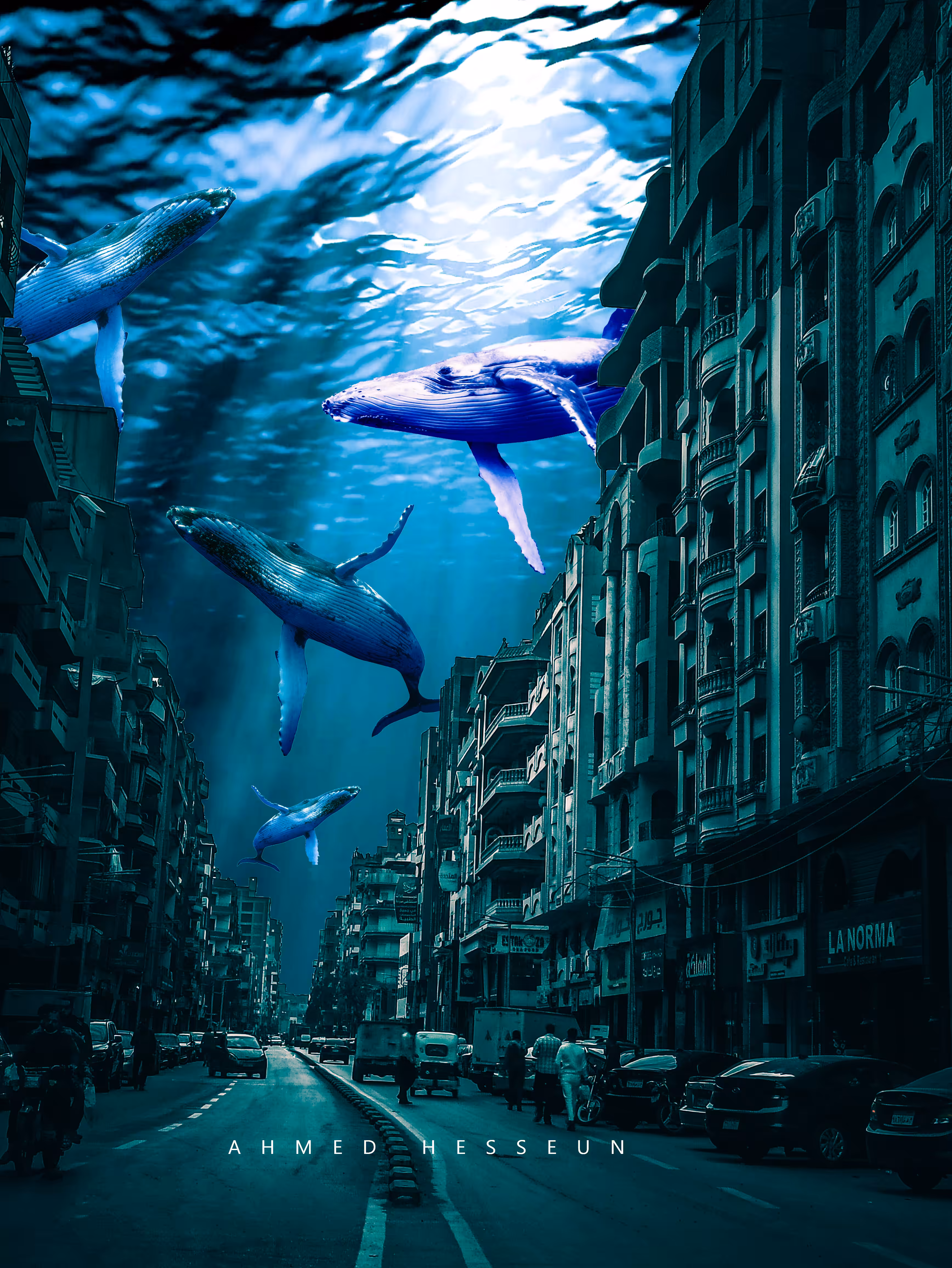 Humpback Whales