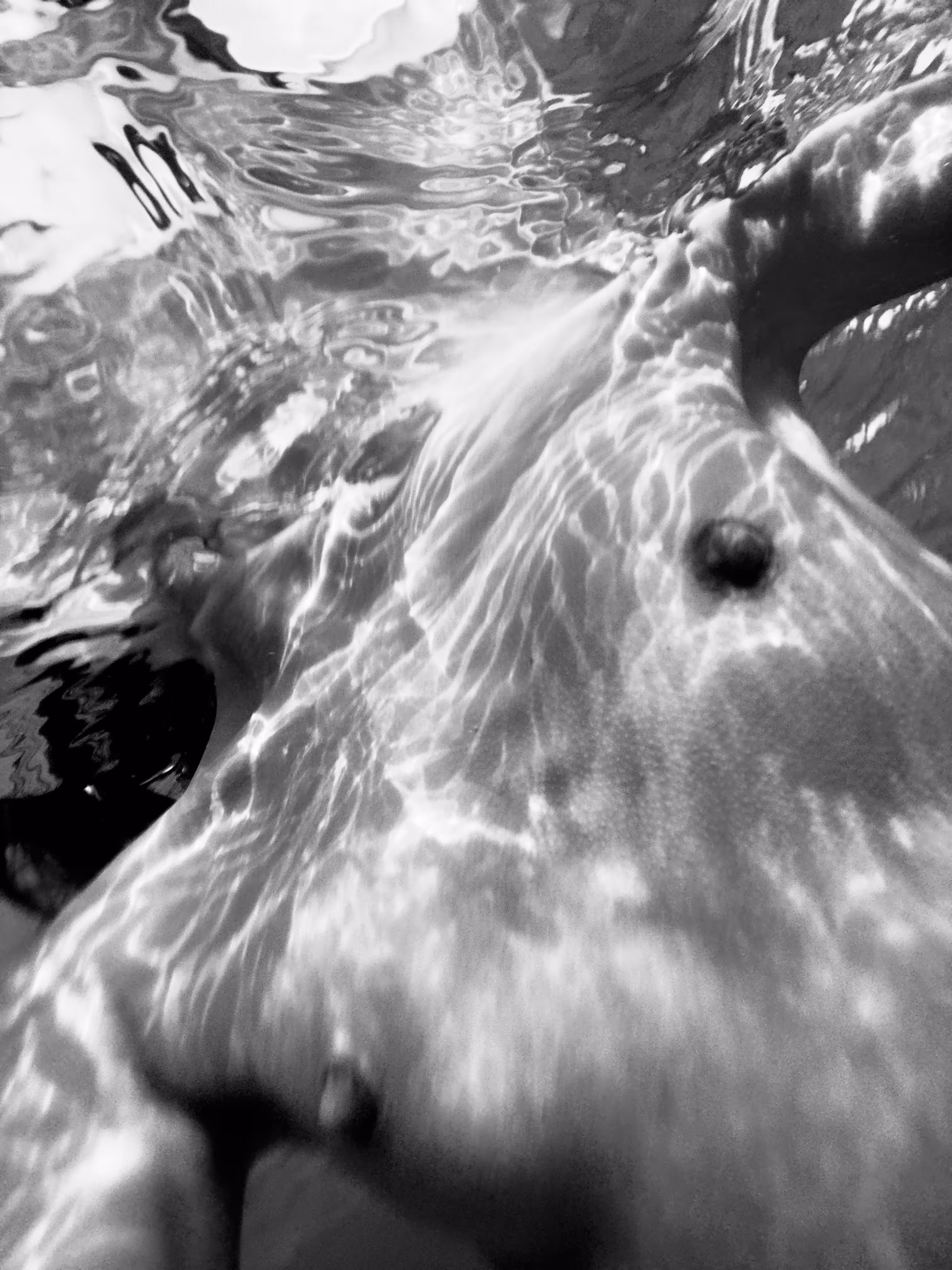 Goldfish #4