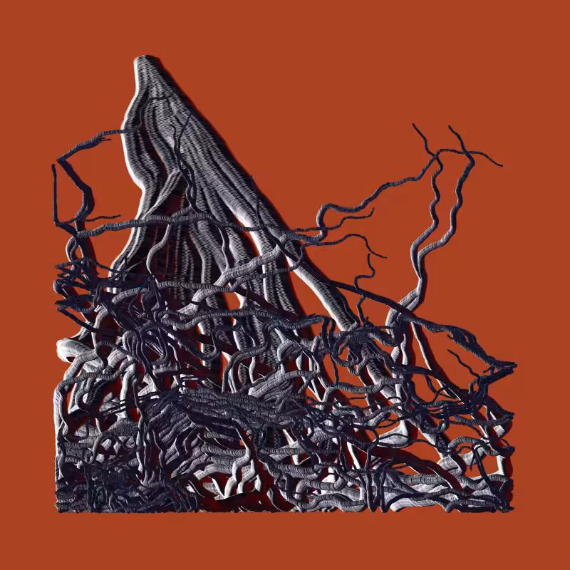 Root #35