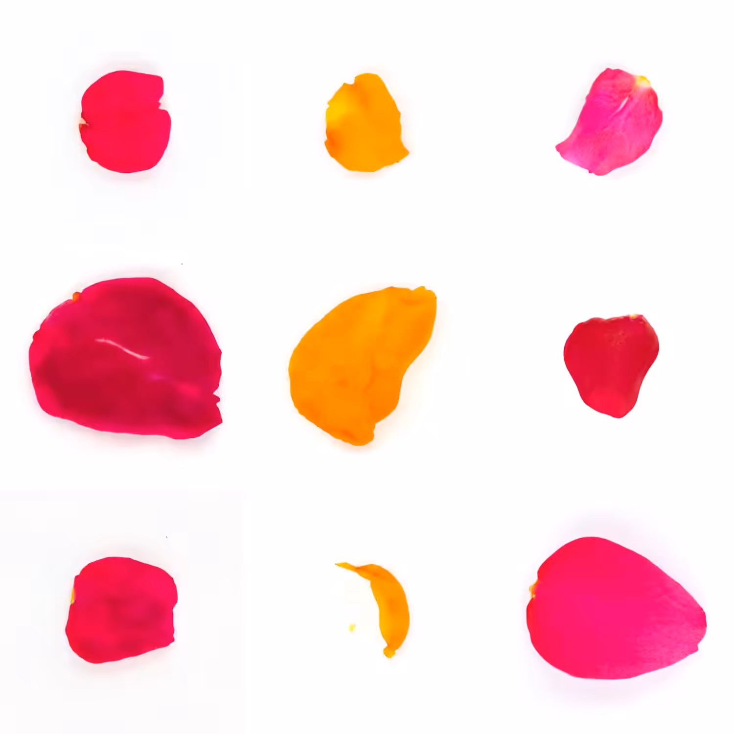 Infinite Petals 3x3#20326