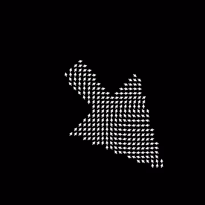DoodleDeProgramming_20221213
