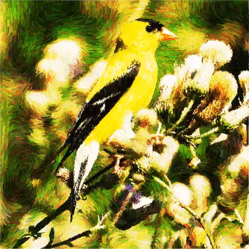Thistle Finch