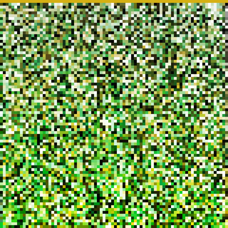 order_Image.output #29