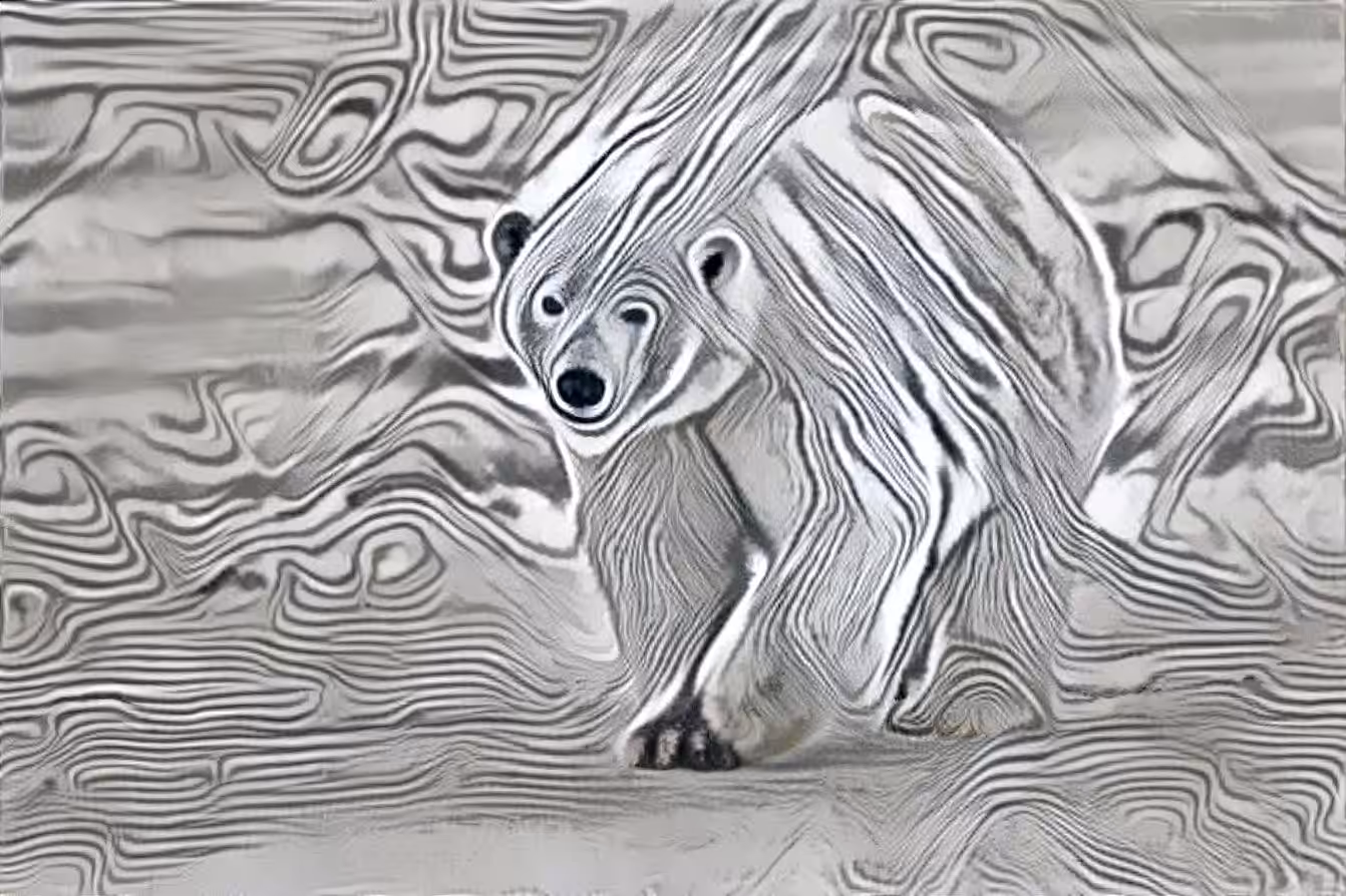 Polar bear