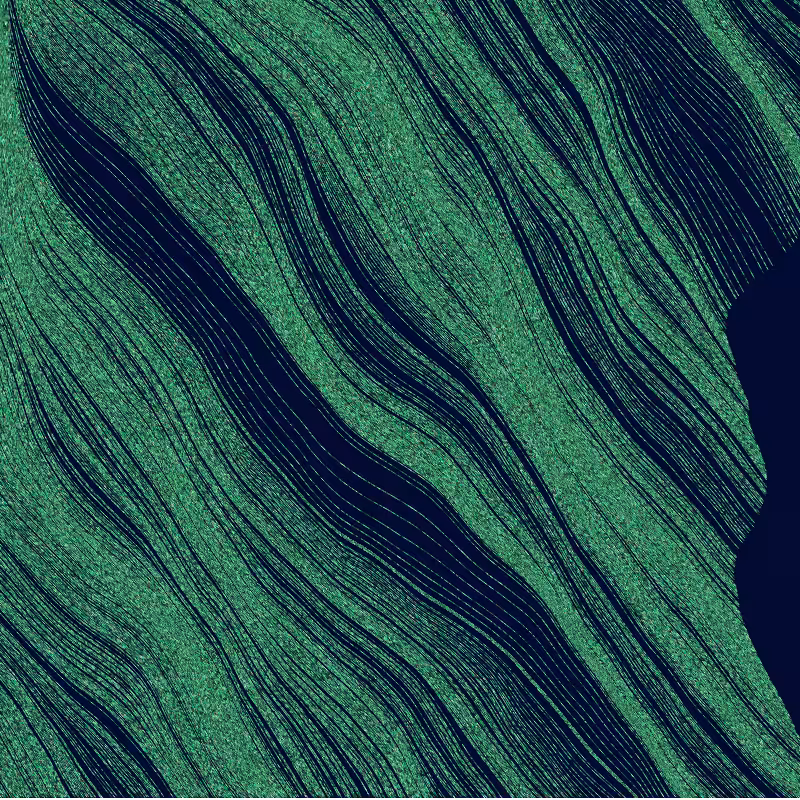Dune #13