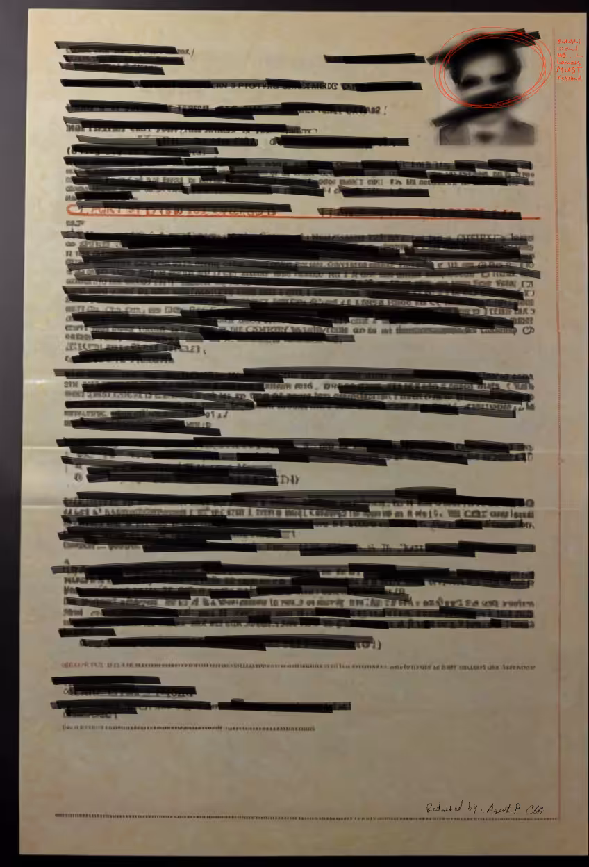 The Satoshi Files: FBI File #18 - The Satoshi Files