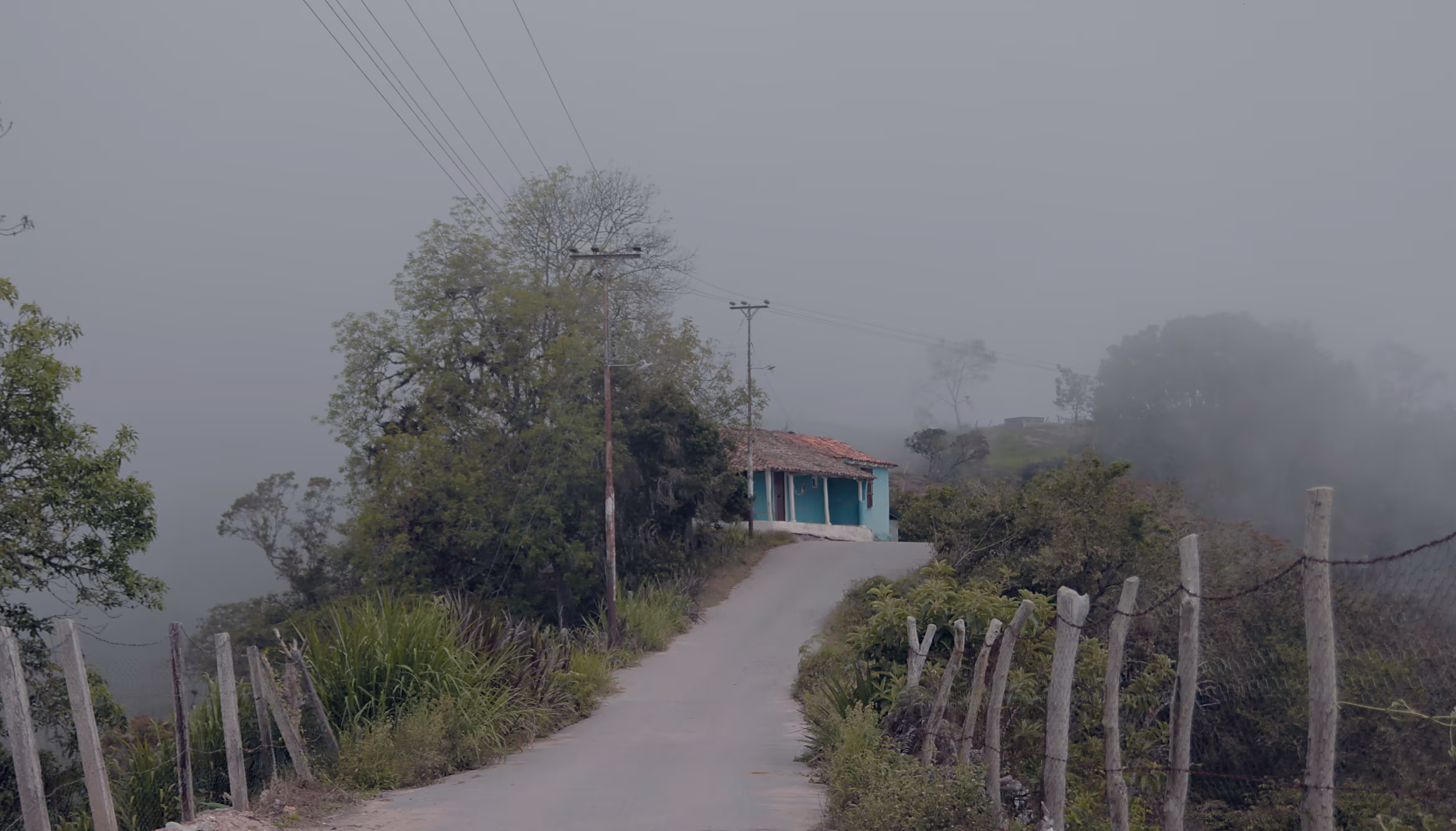 Trampajaula