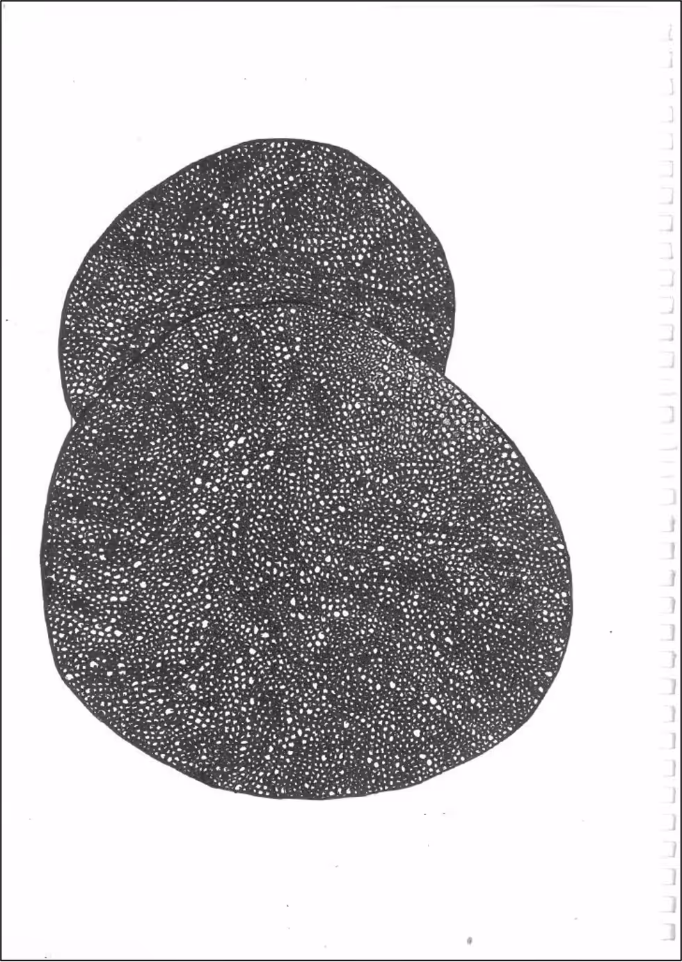 THIS REMINDS ME OF SOMETHING VALUABLE.