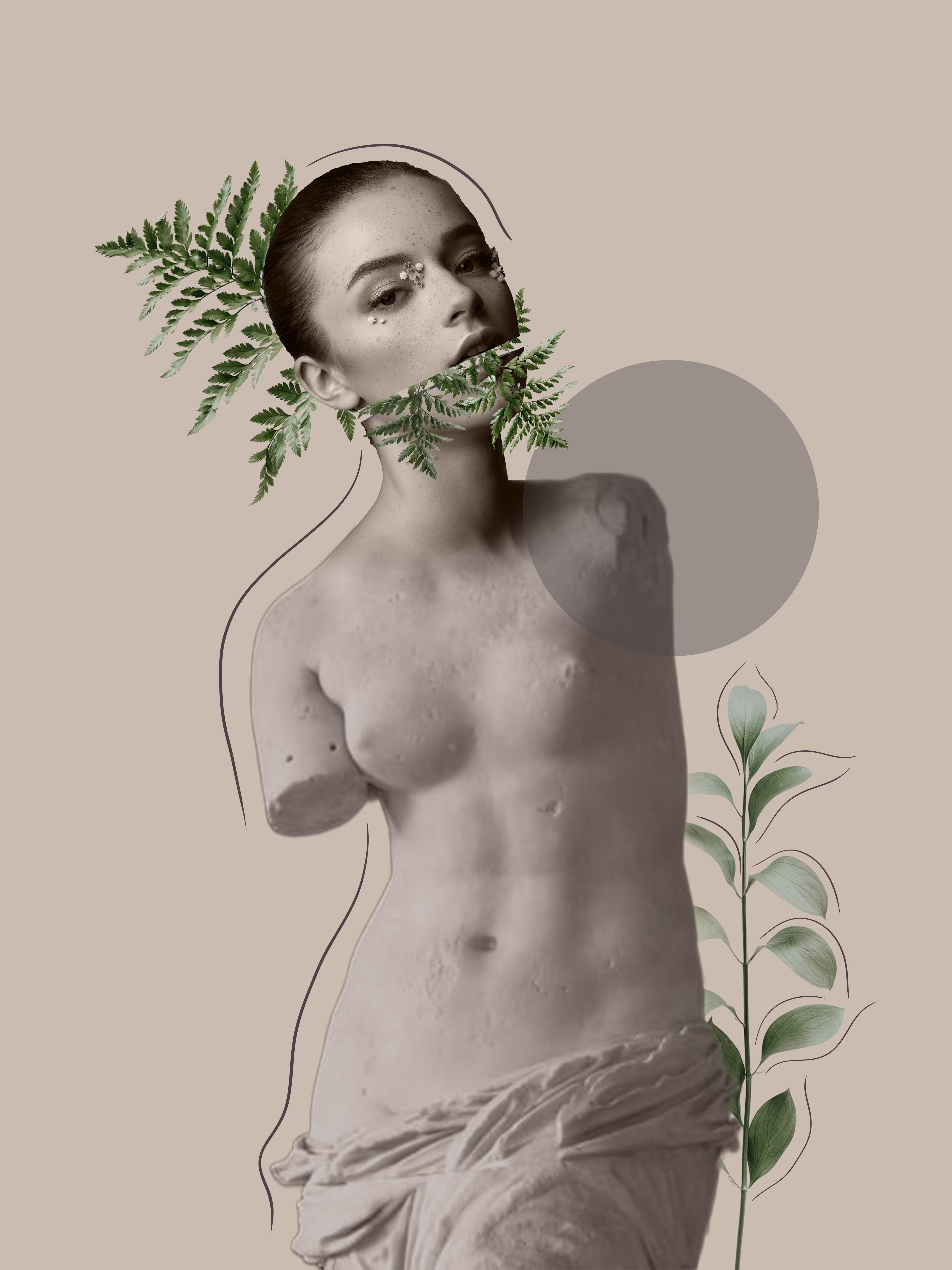 Lili Collection Creative Series (Part 1)