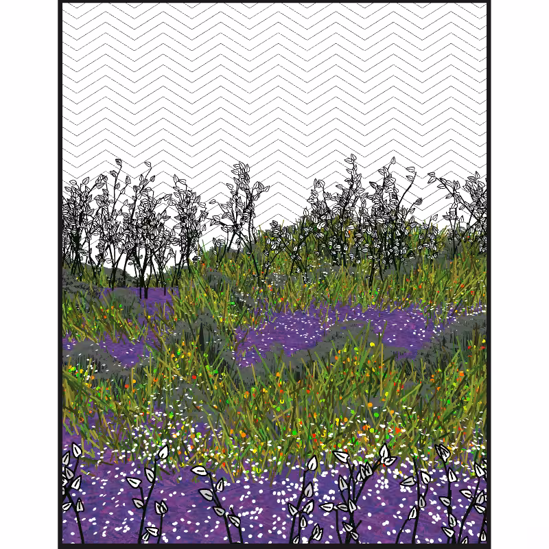 Contours #51
