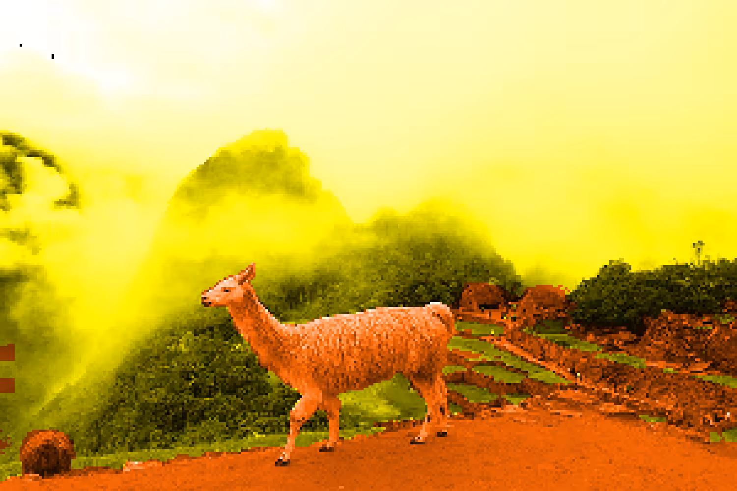 Llama #1