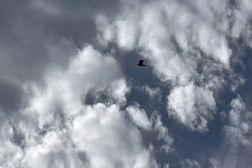 Embracing the storm alone 