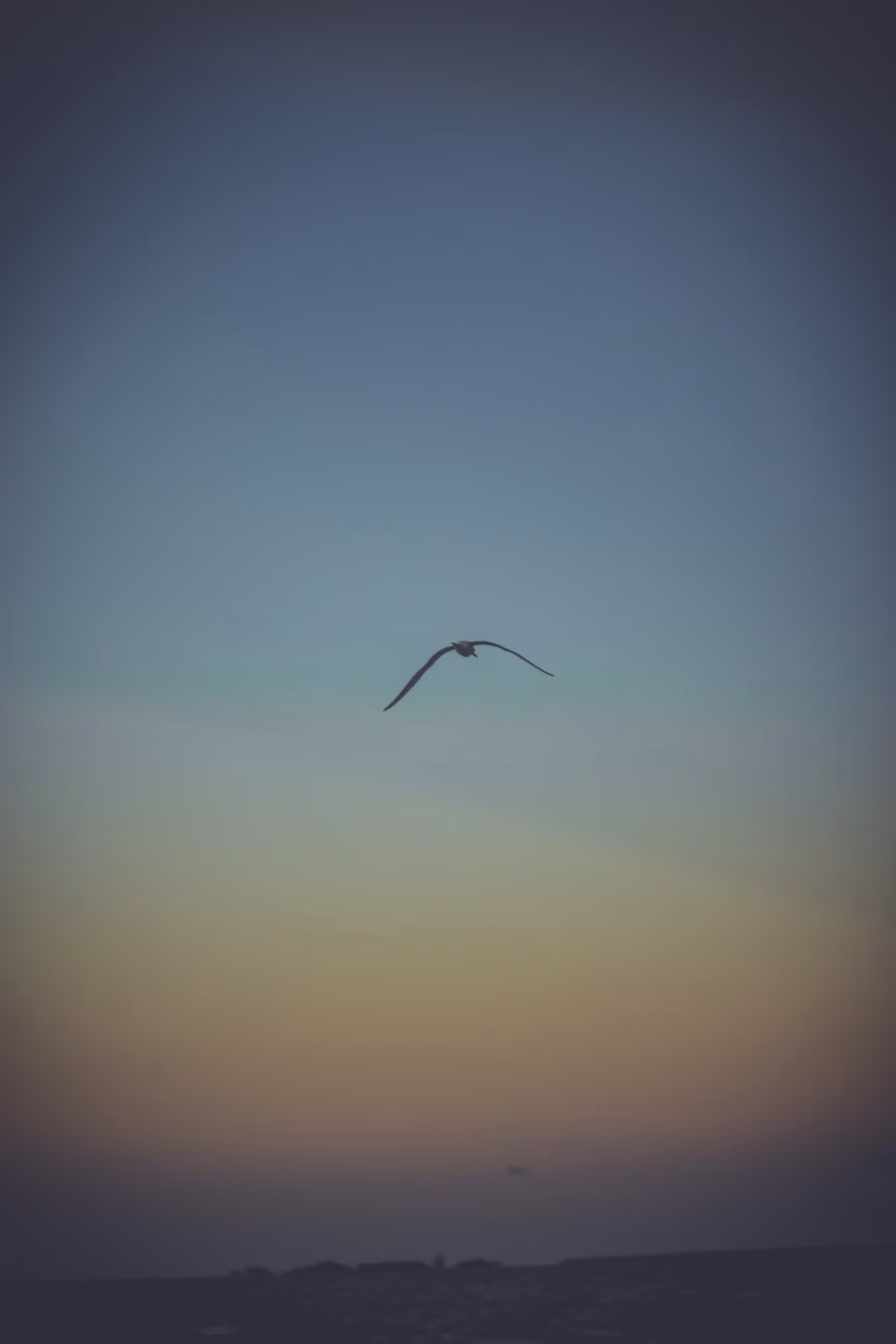 The flight