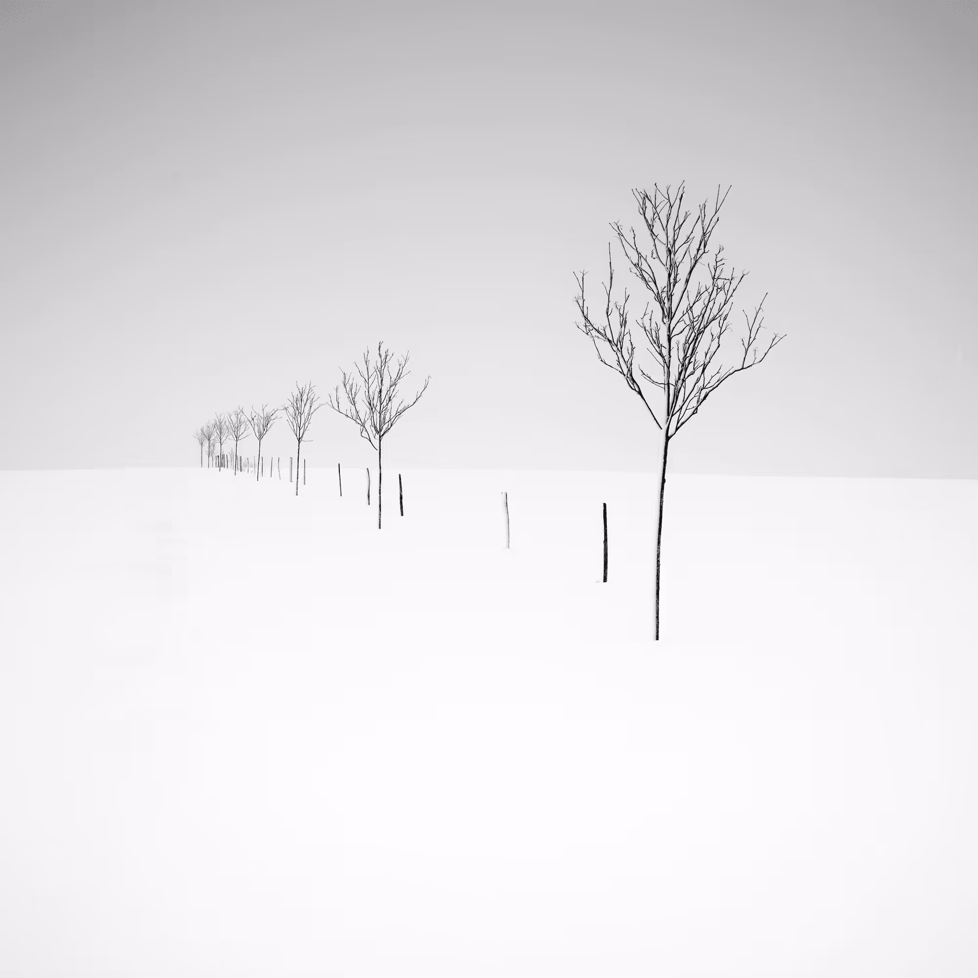 Sound of Silence #21