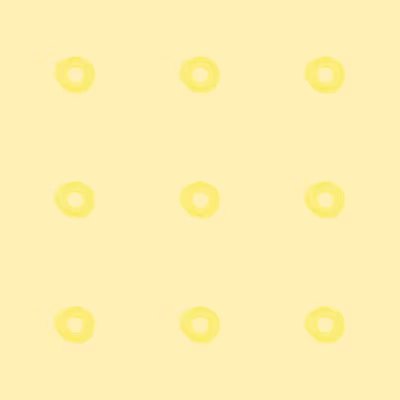cycle#007