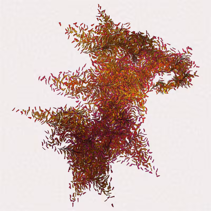 Amsenent #9