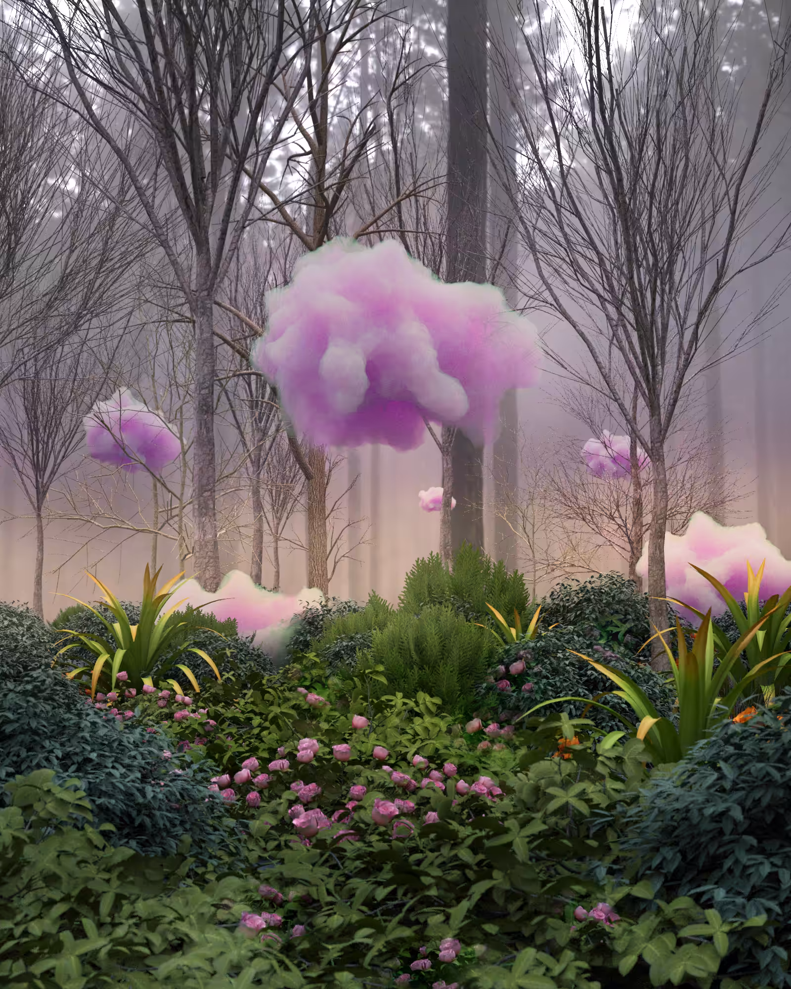 Pink Cloud Forest