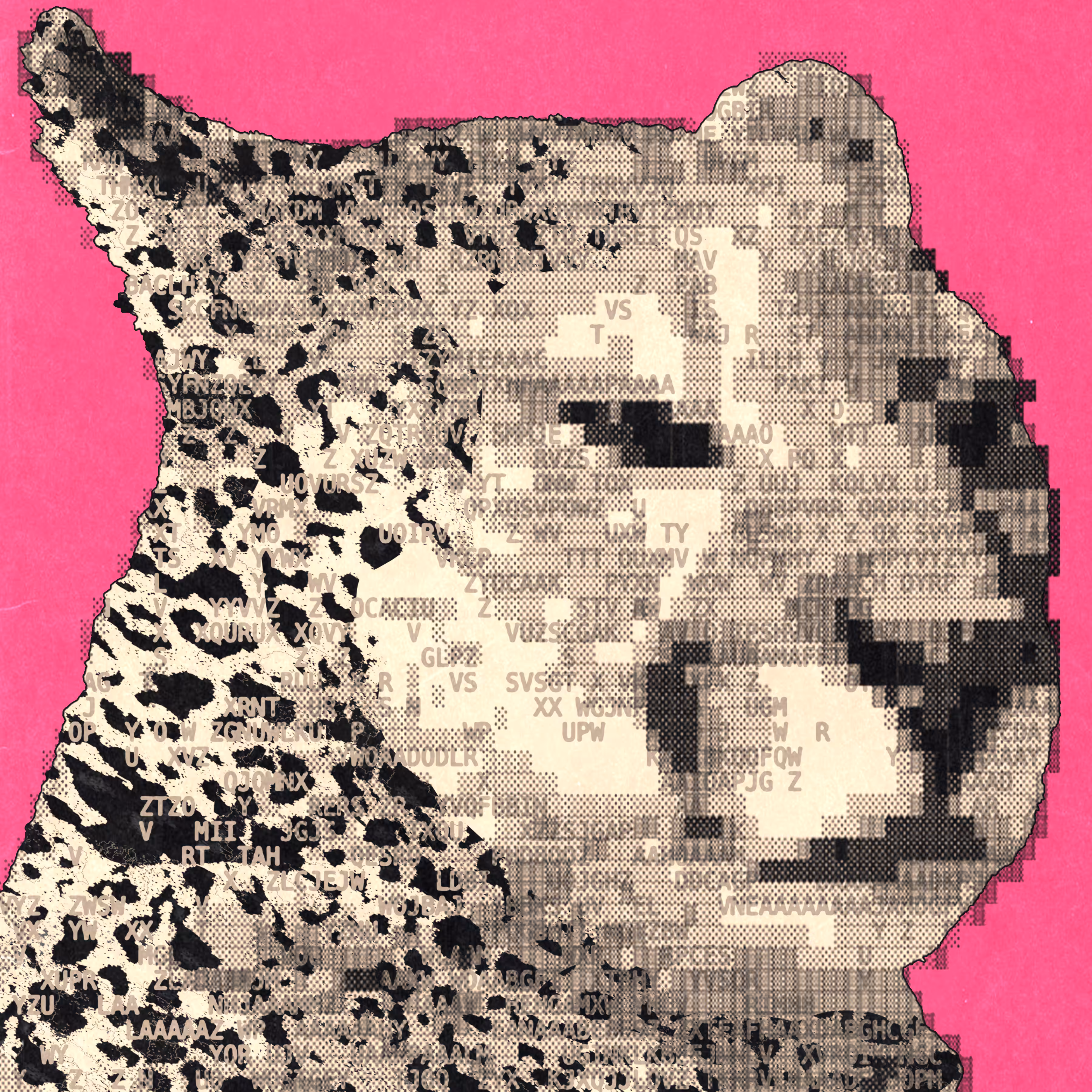 cheetah.