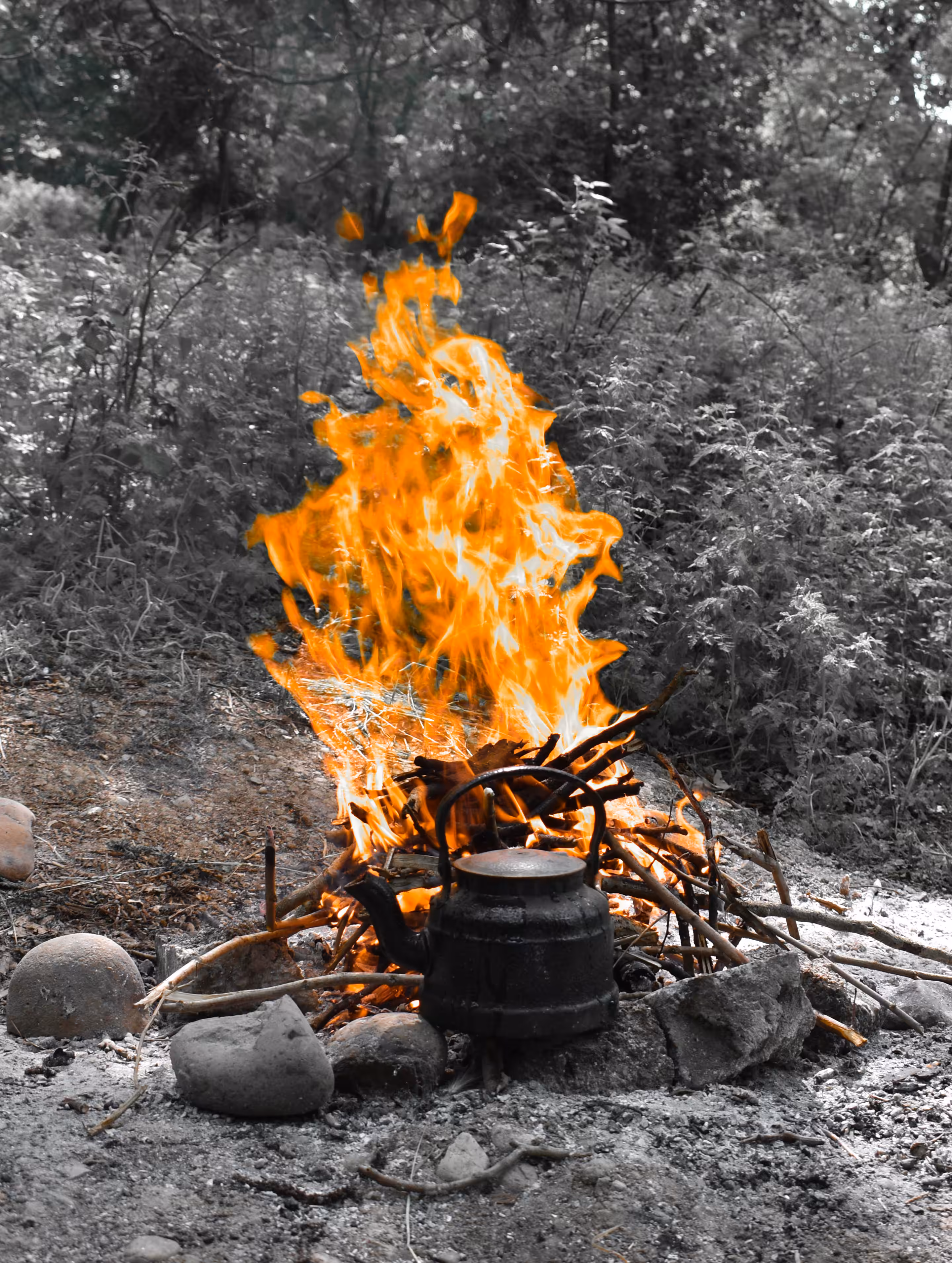 photography #04
