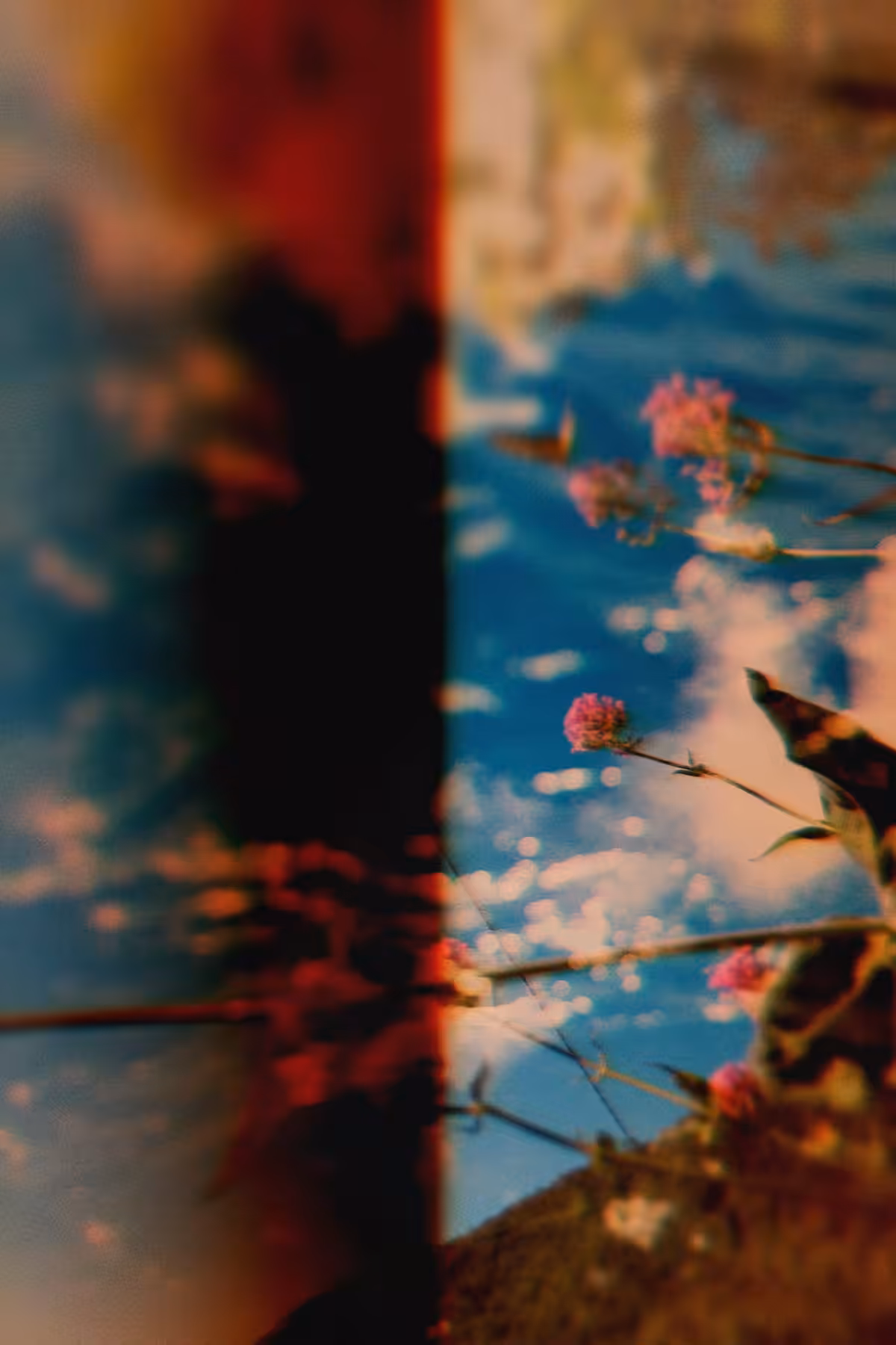 Diaries #1