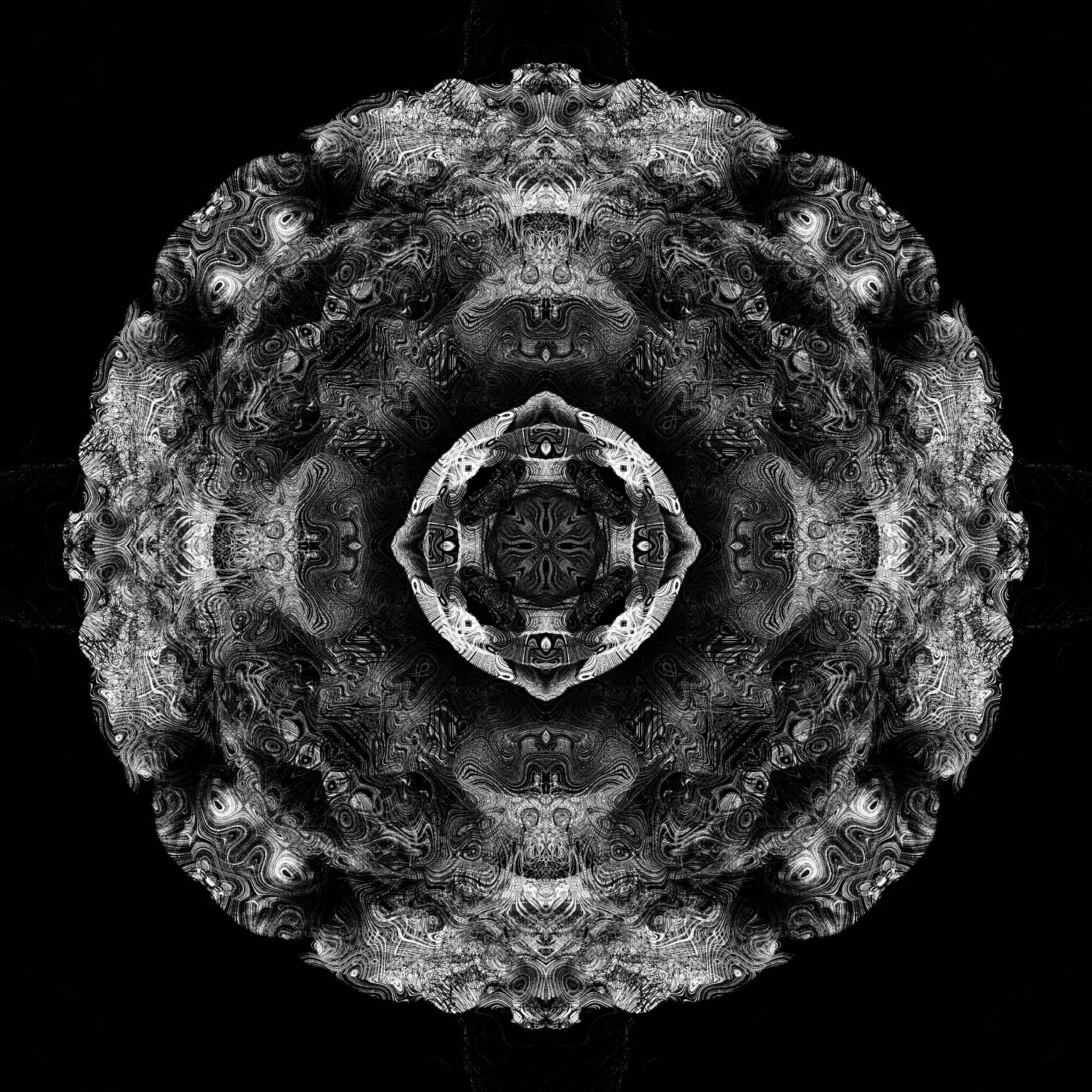 dark camellia D5