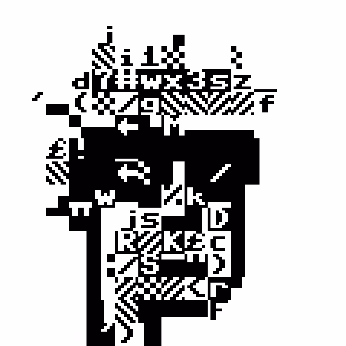 PET Punk 491