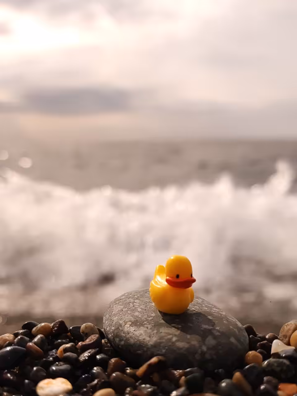 Duck #4