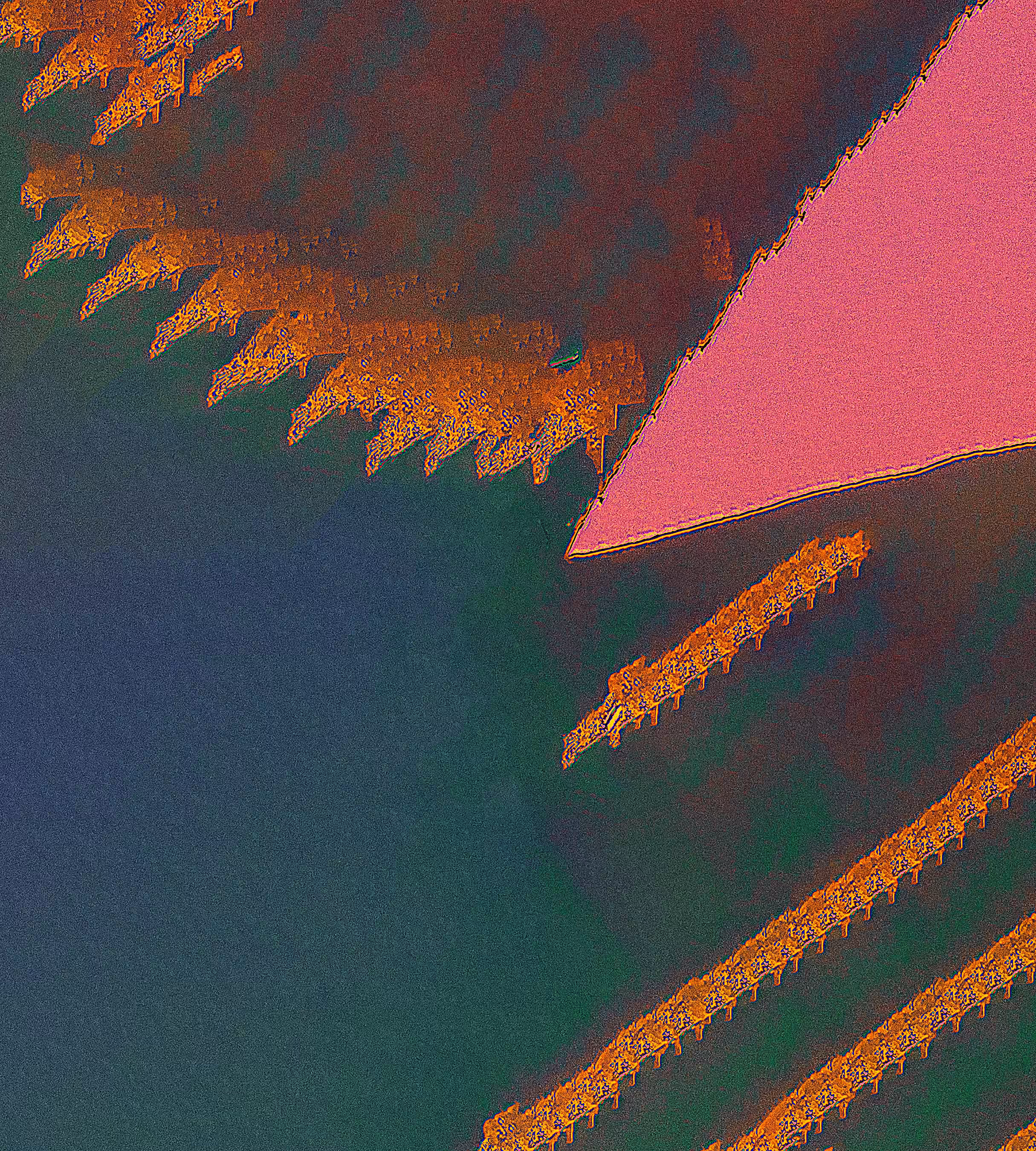 Euphoria XII