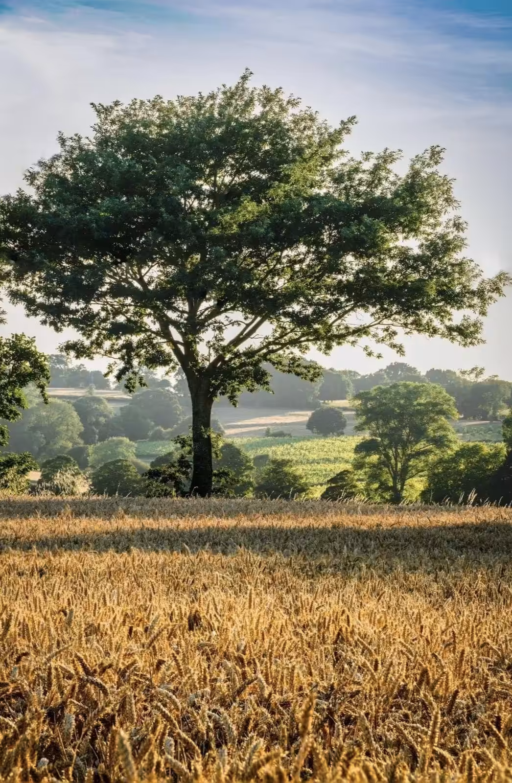 South East England :12