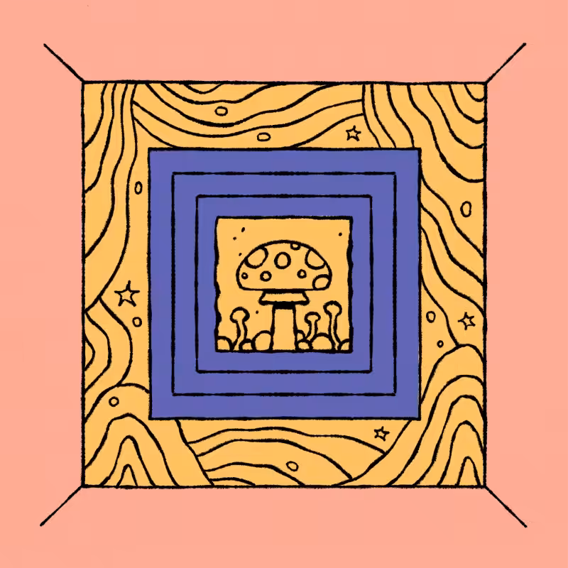 borders #78