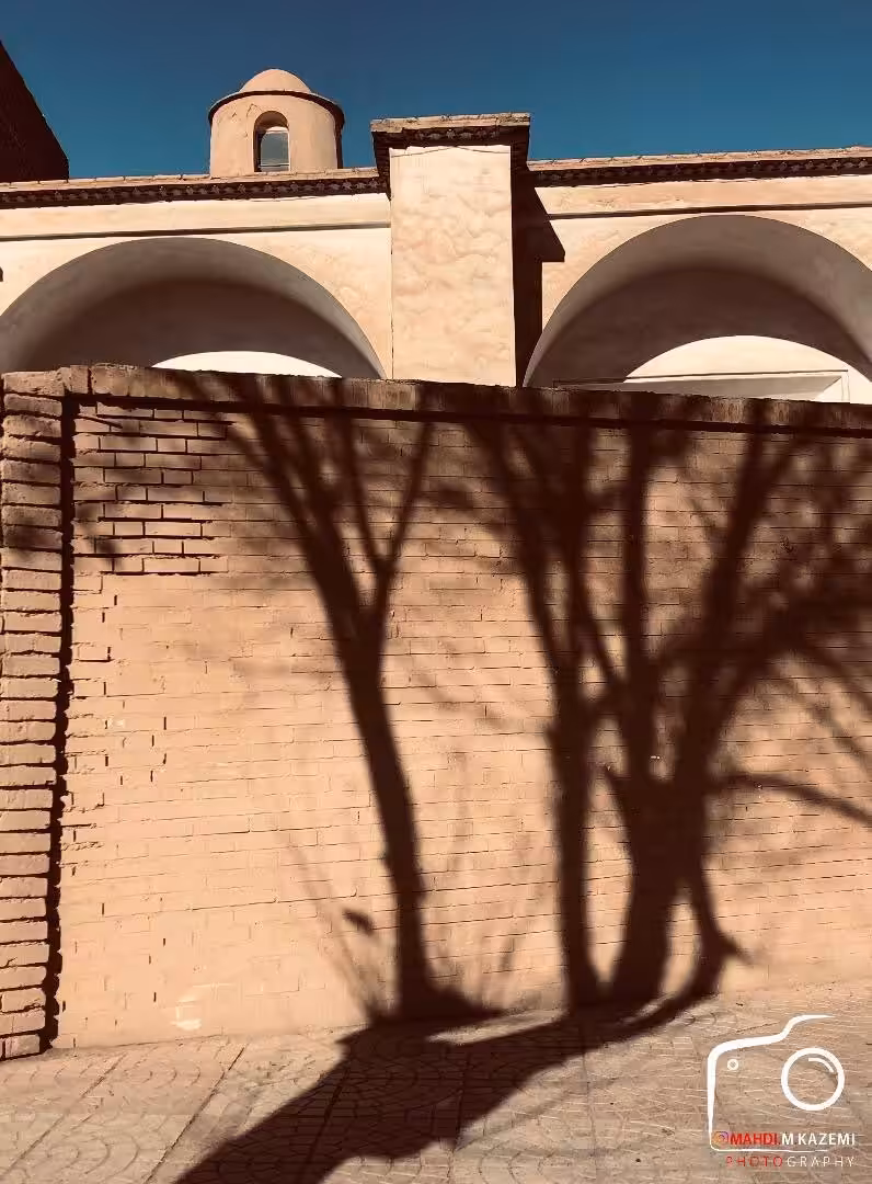 Entwined Roots in Shadow