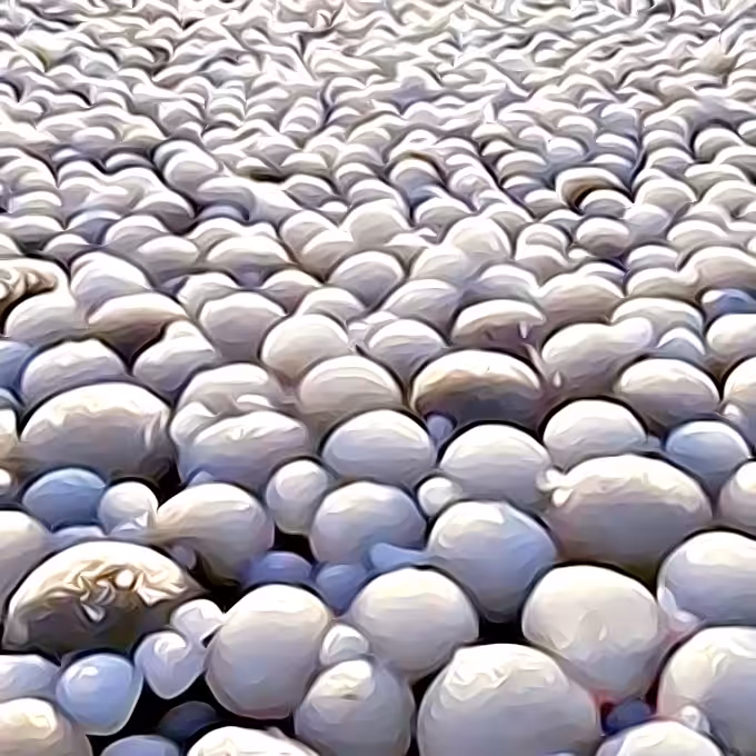 Sea of Rocks #2