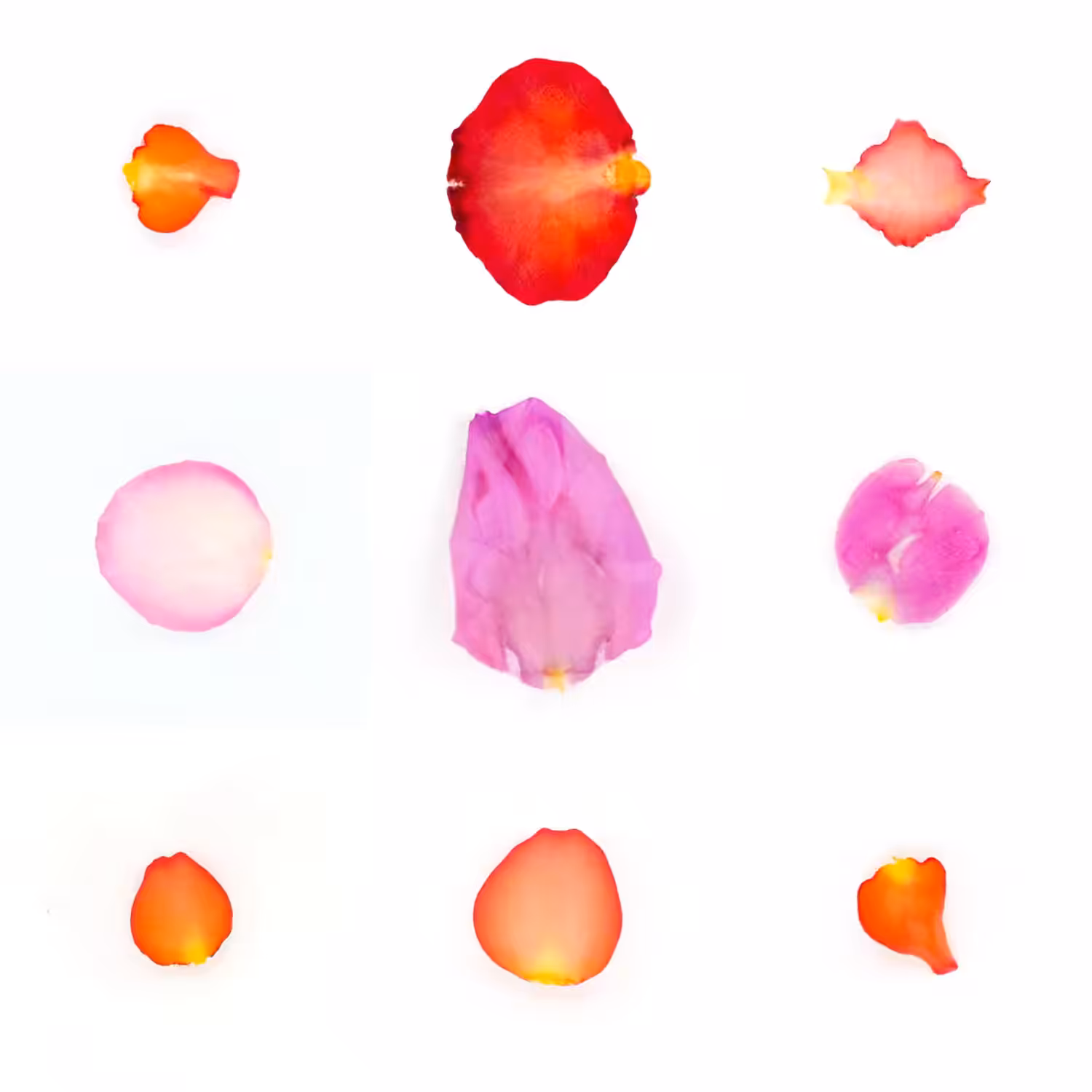 Infinite Petals 3x3#21536