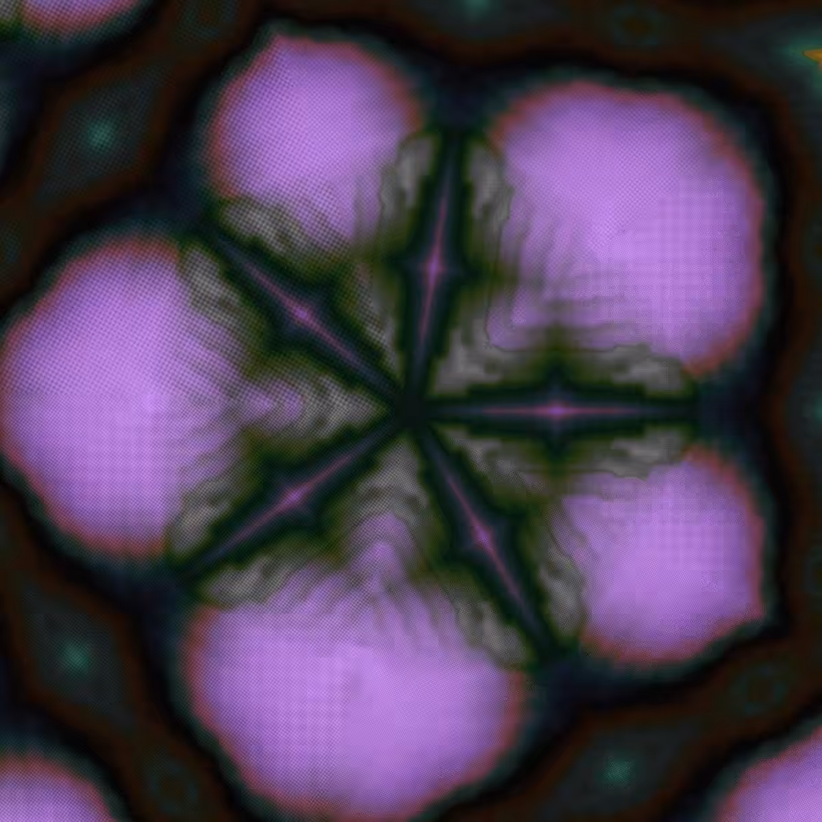 Ripple #00007