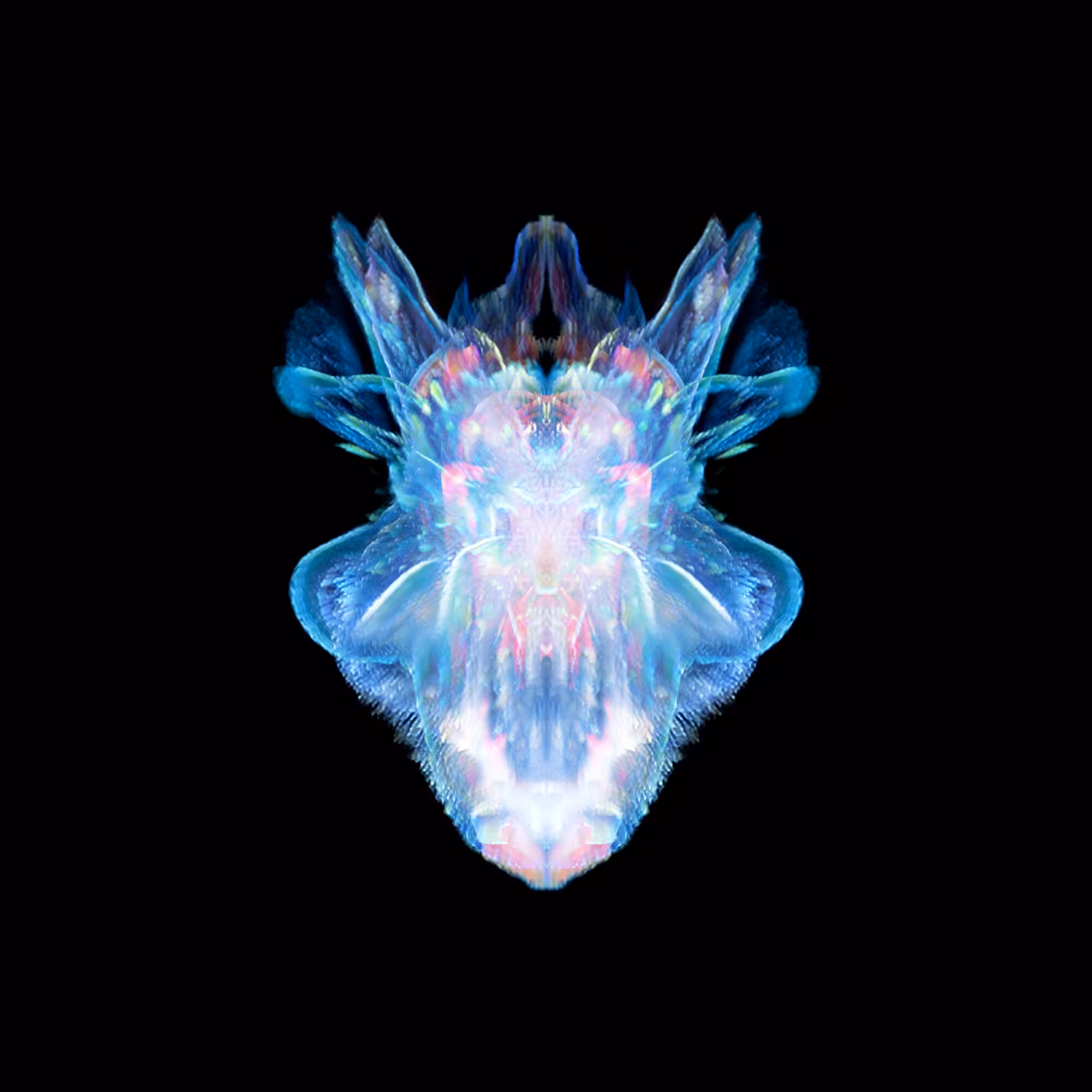 Interspecies Iterations #07