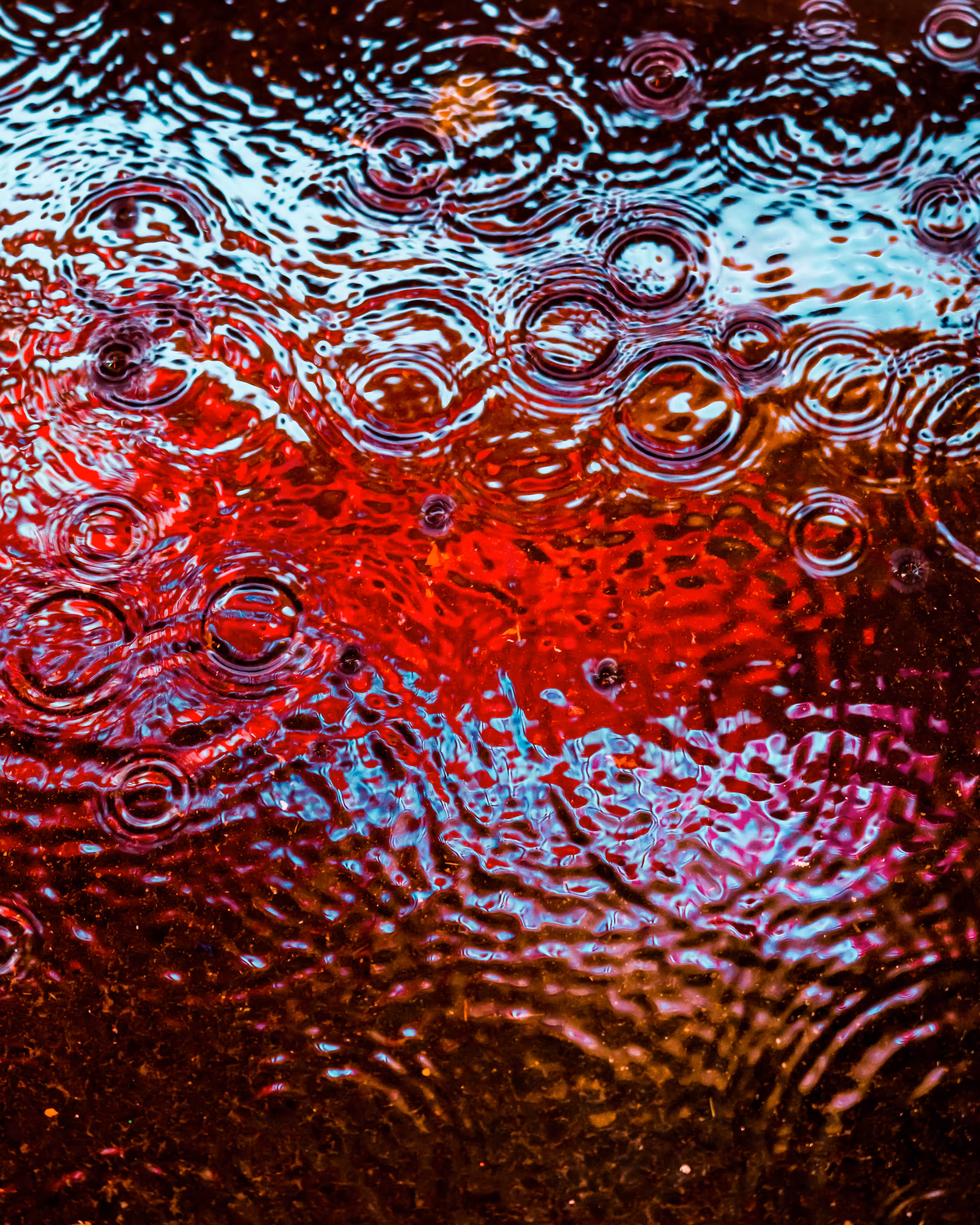 DRIP DROP: DRIP #790