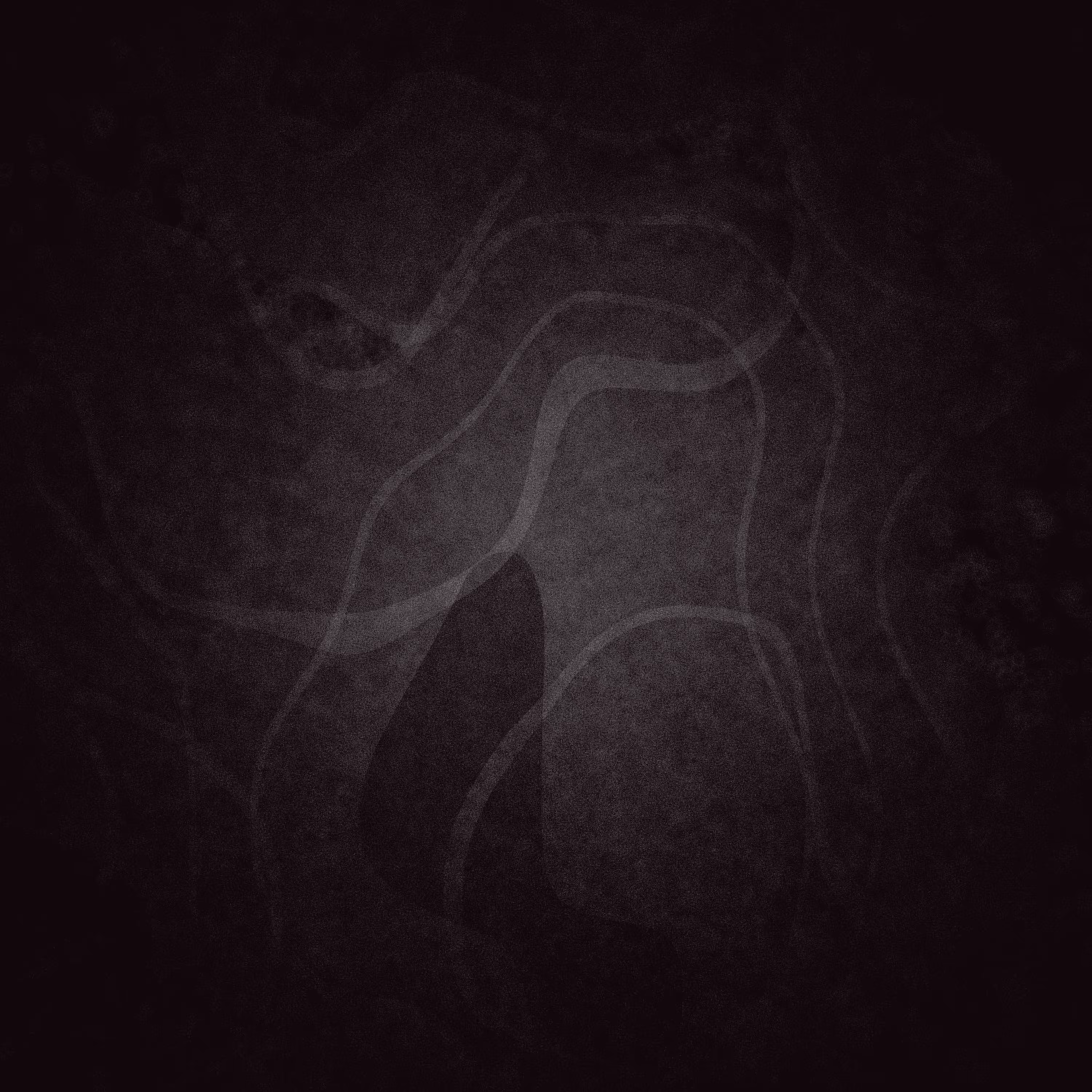 Beyond Dichotomy  #6